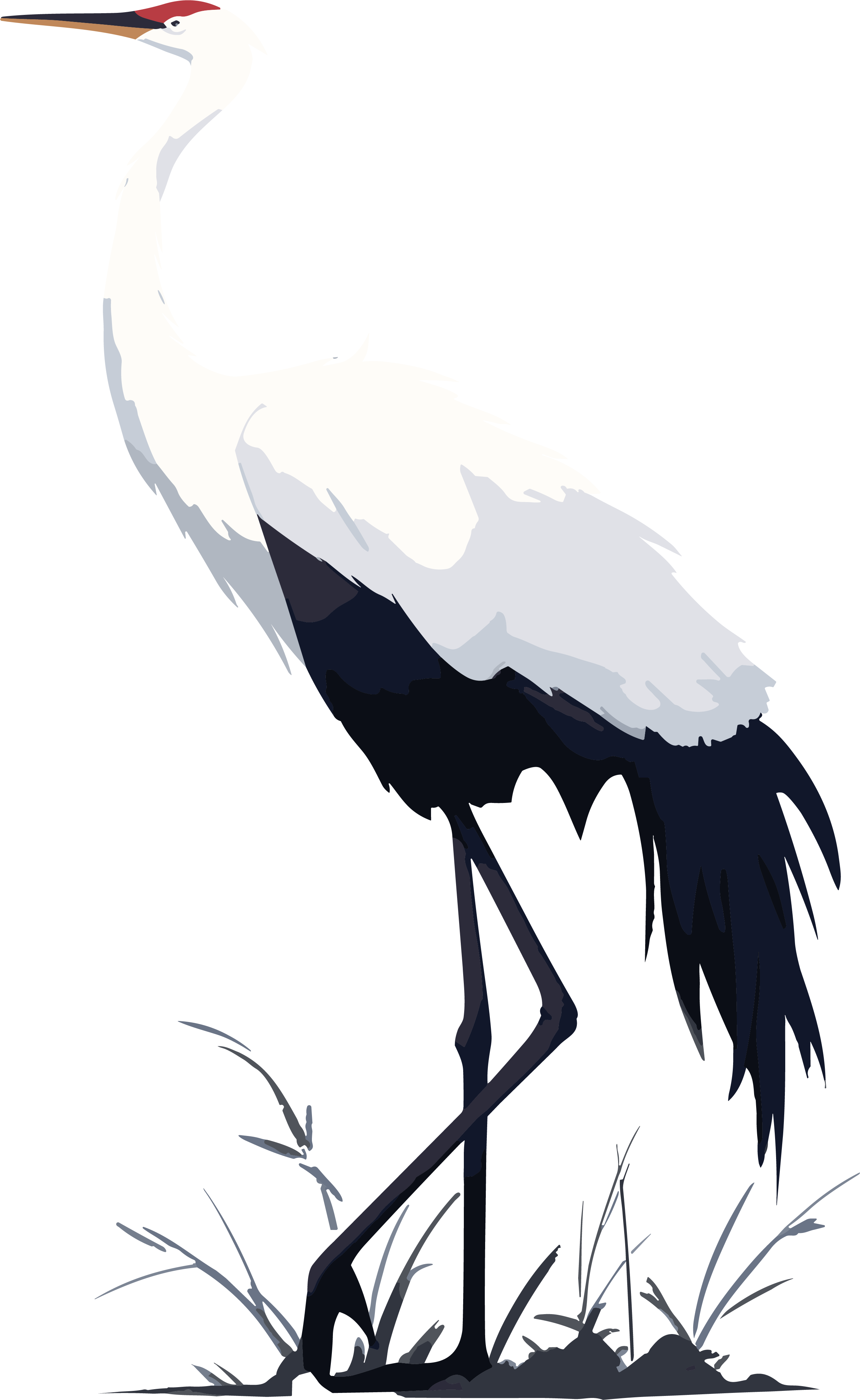 Ink wash style red-crowned crane illustration element