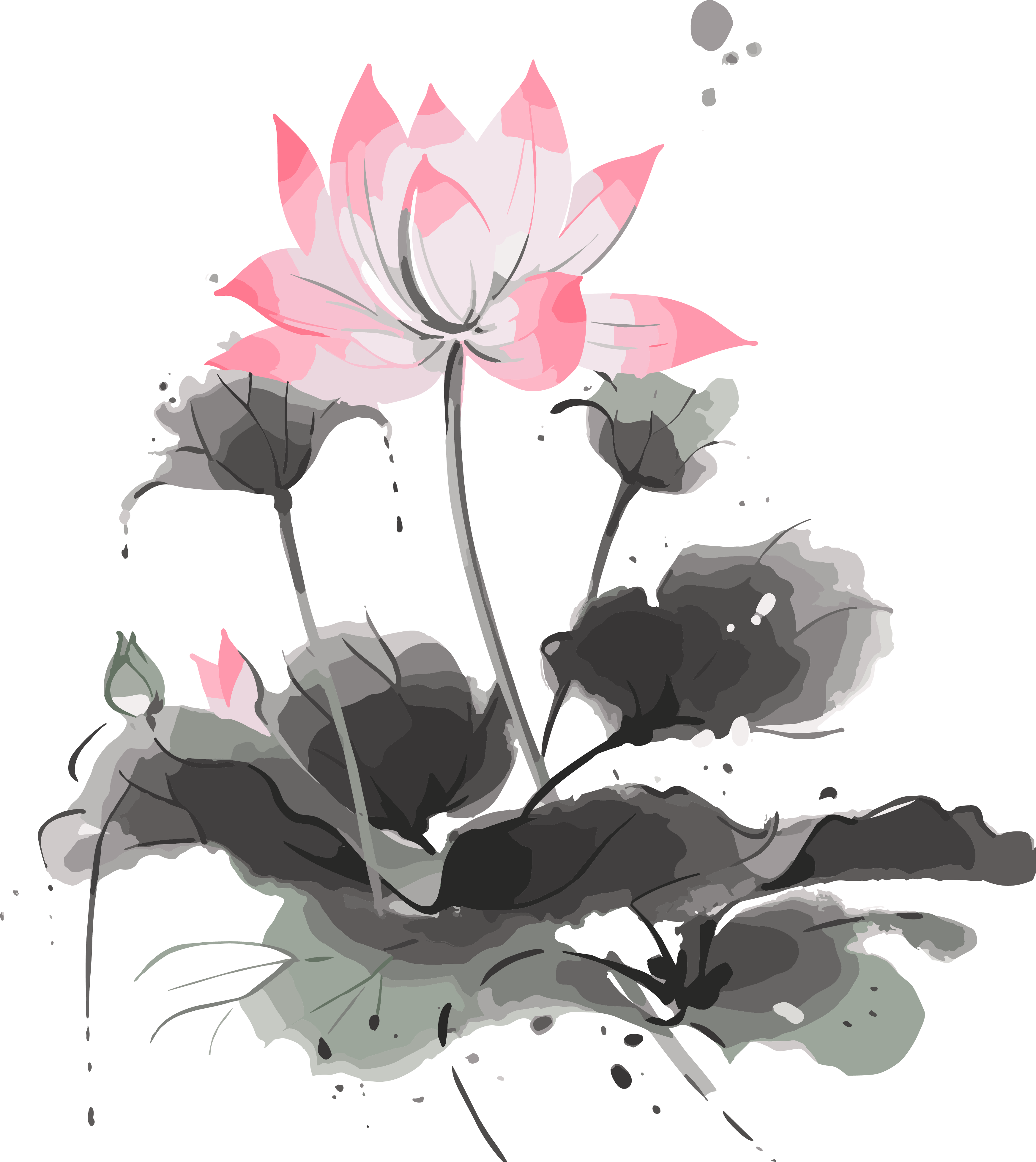 Elements of black and white lotus paintings from ancient times