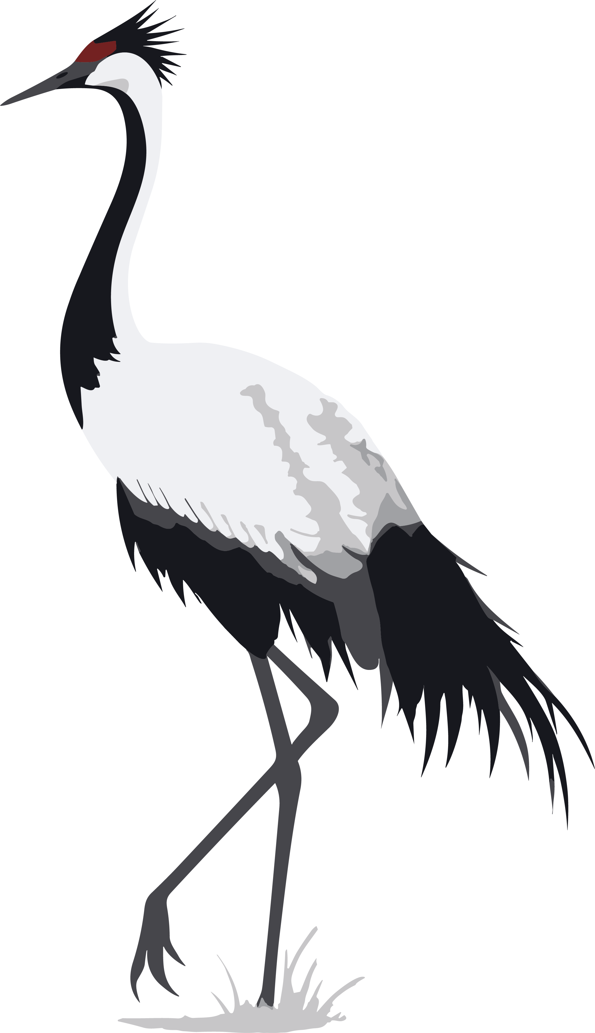Minimalist Colorful Illustration of Red-crowned Crane for Commercial Use