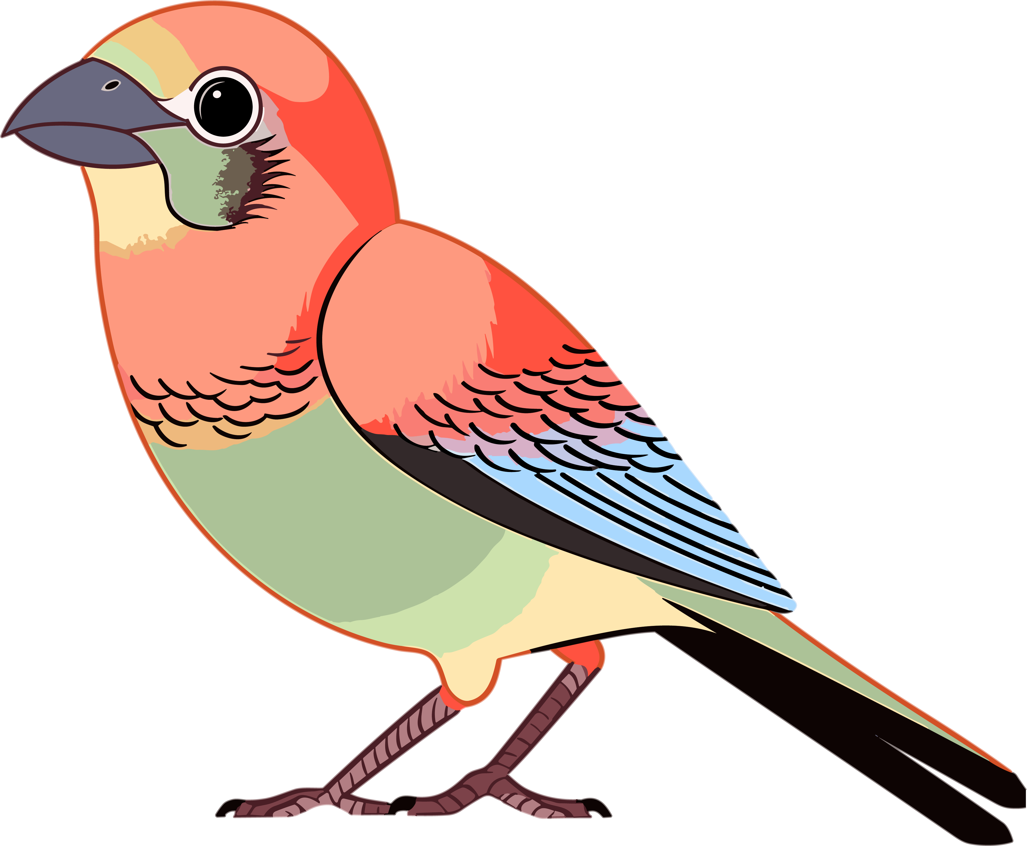 Vividly colored bird illustration material