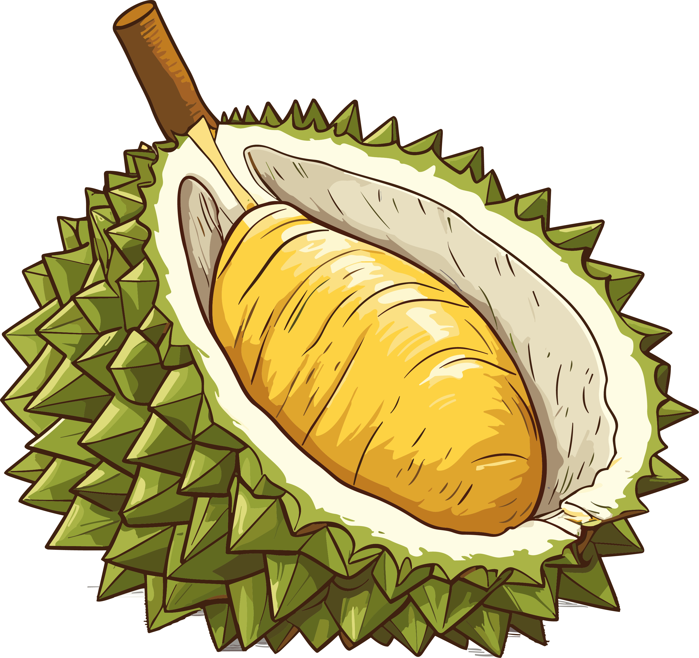 Illustration of durian fruit with a transparent background