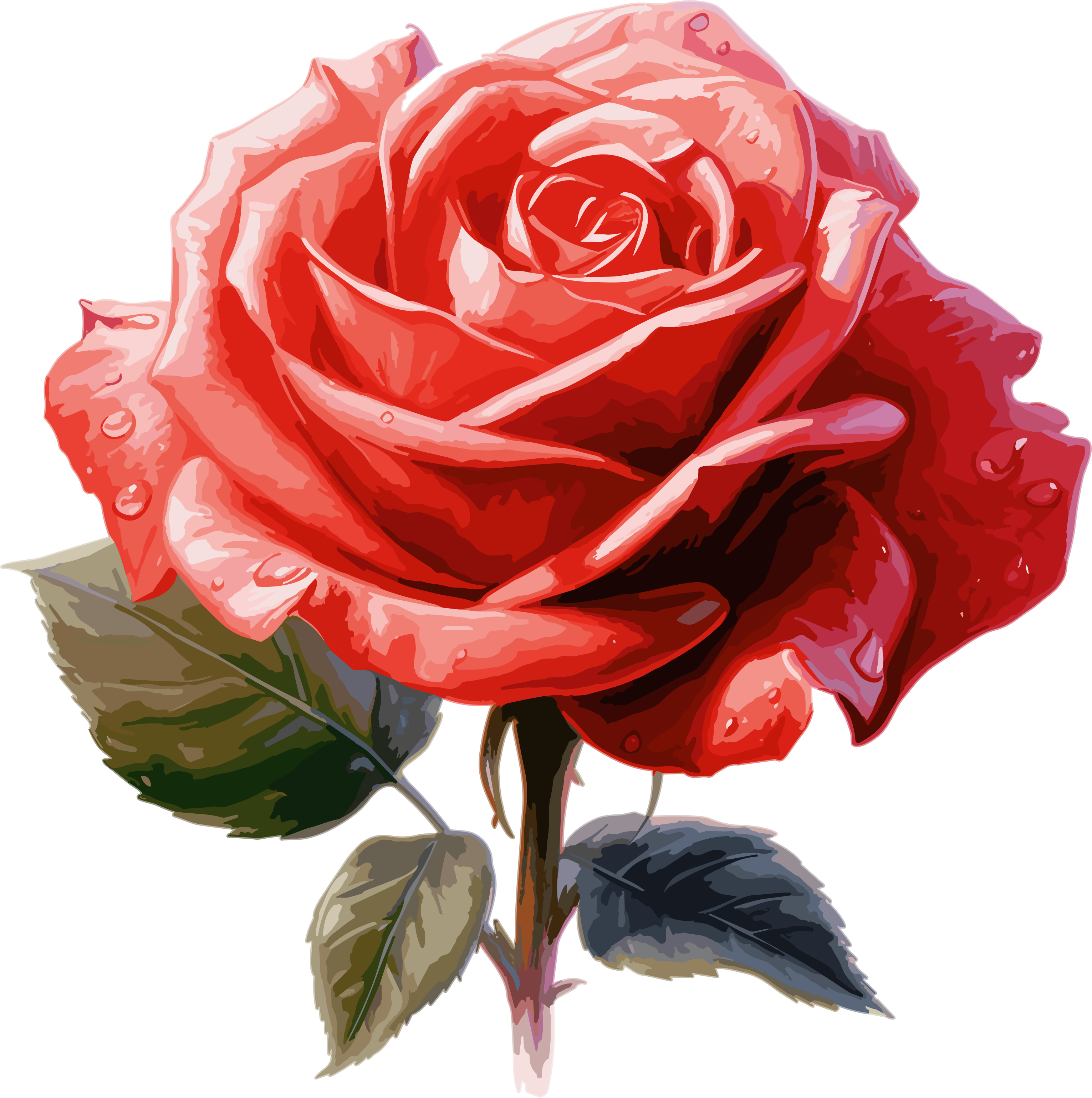 High-quality illustration material of red roses