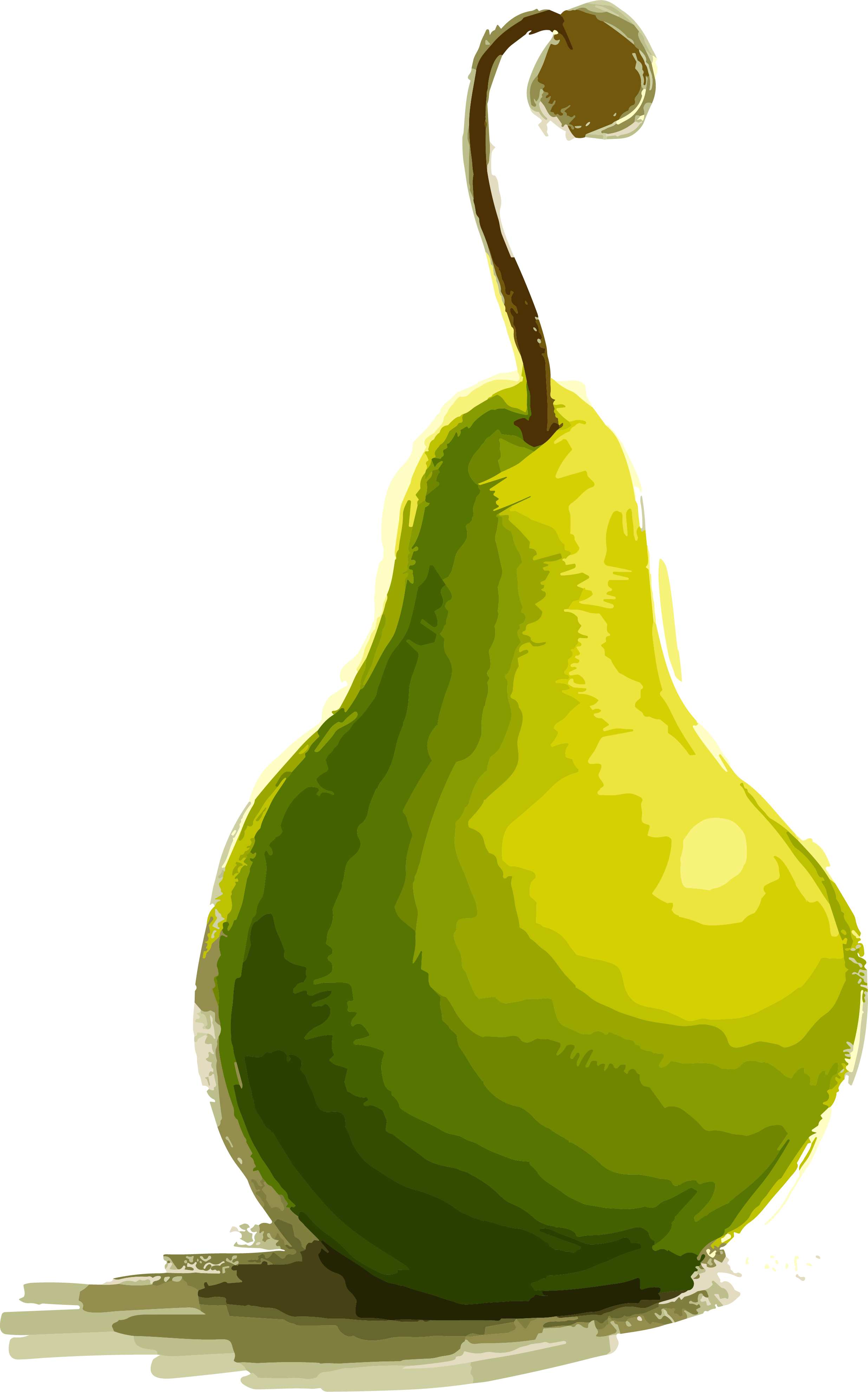 Creative Design Pear Illustration