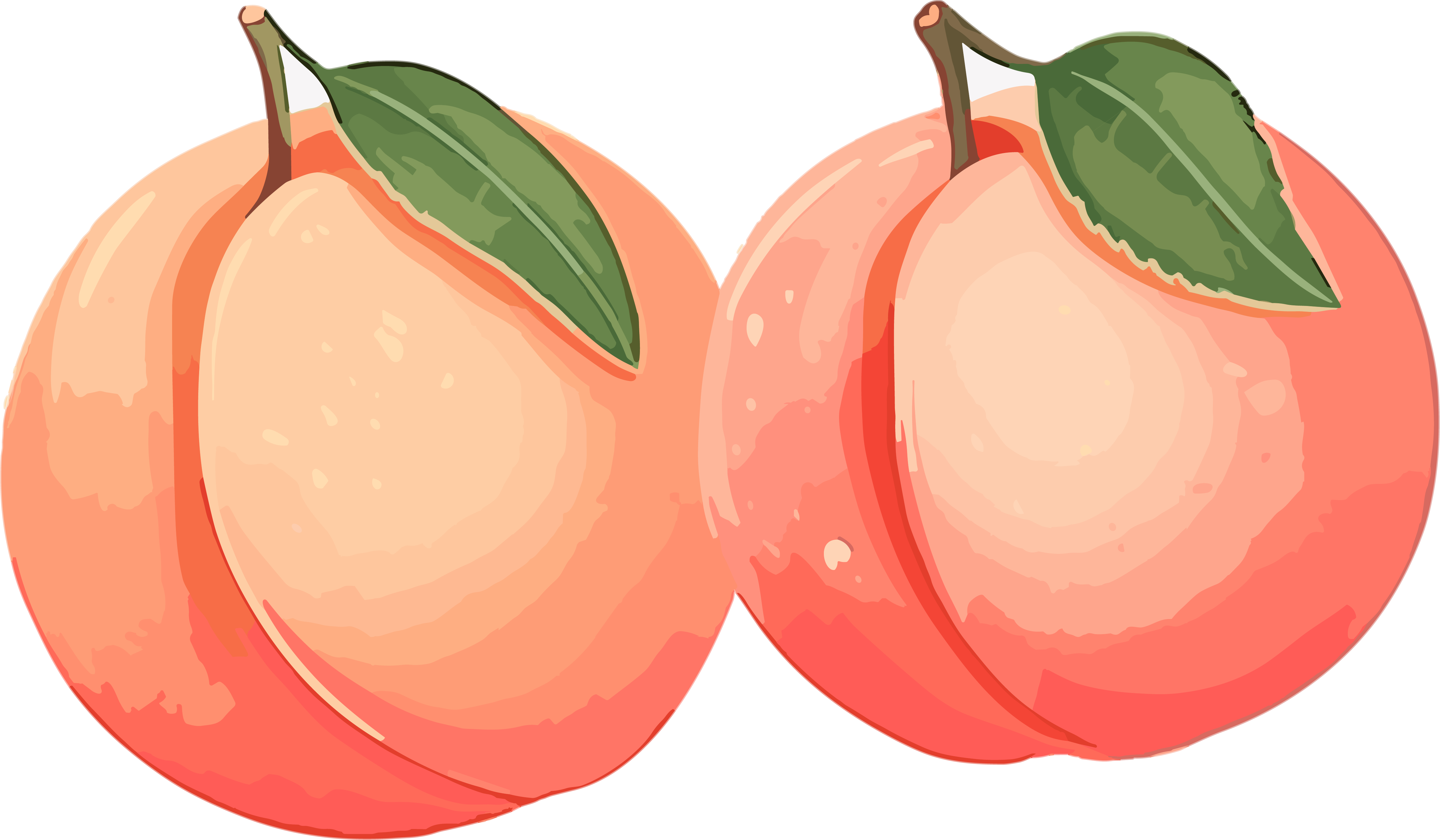 Sweet Peach Pattern Material