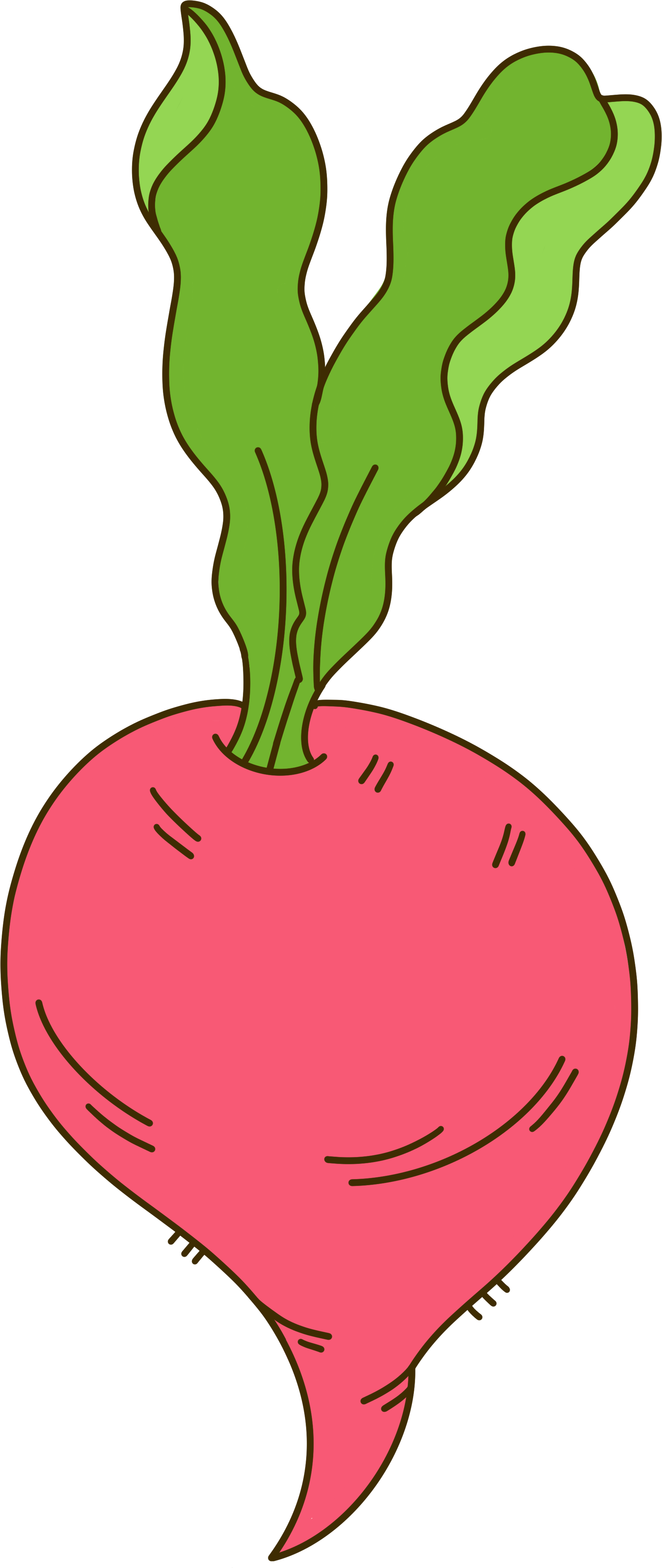 Delicious hand-drawn radish, commercially usable material