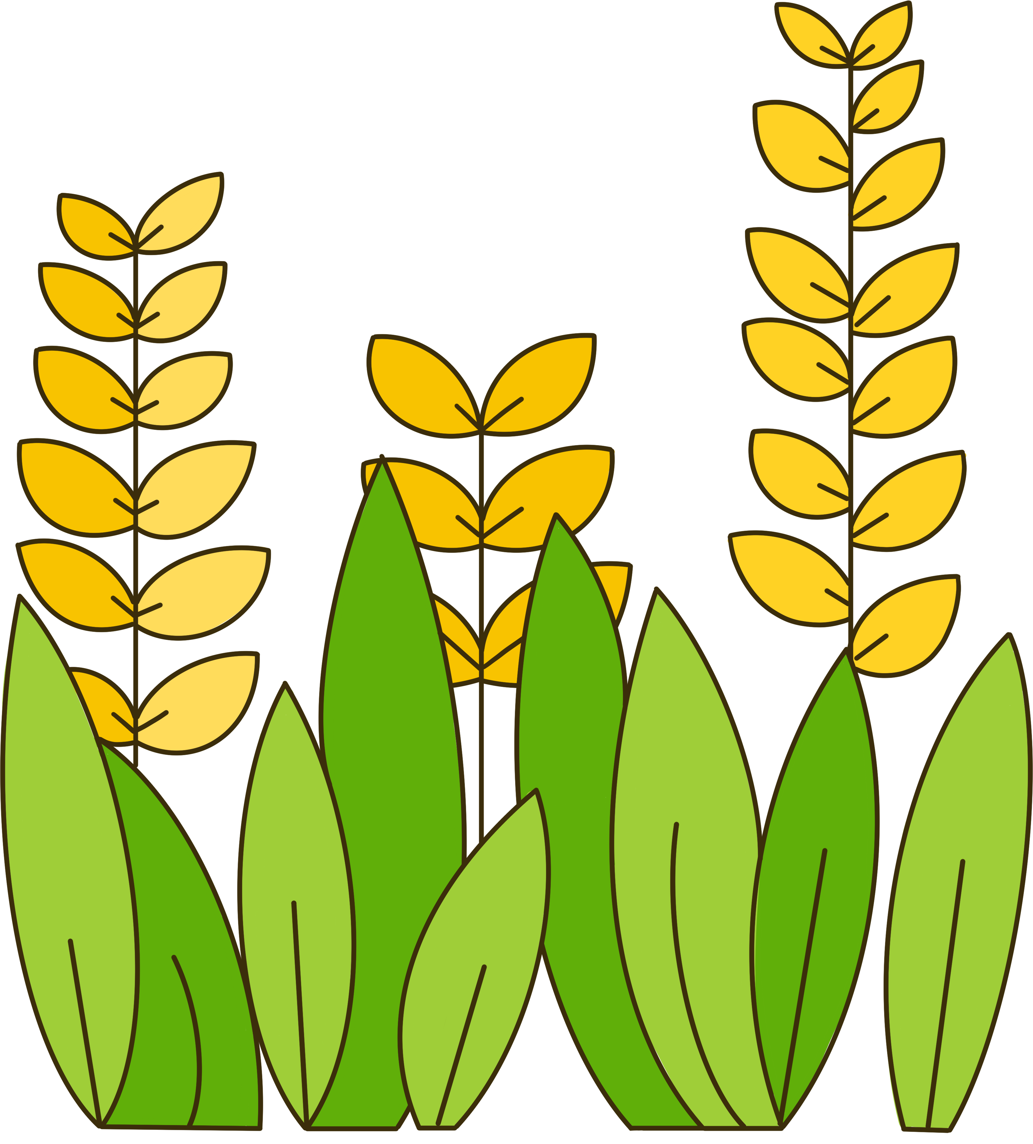 Childlike hand-drawn wheat grain illustration with a transparent background