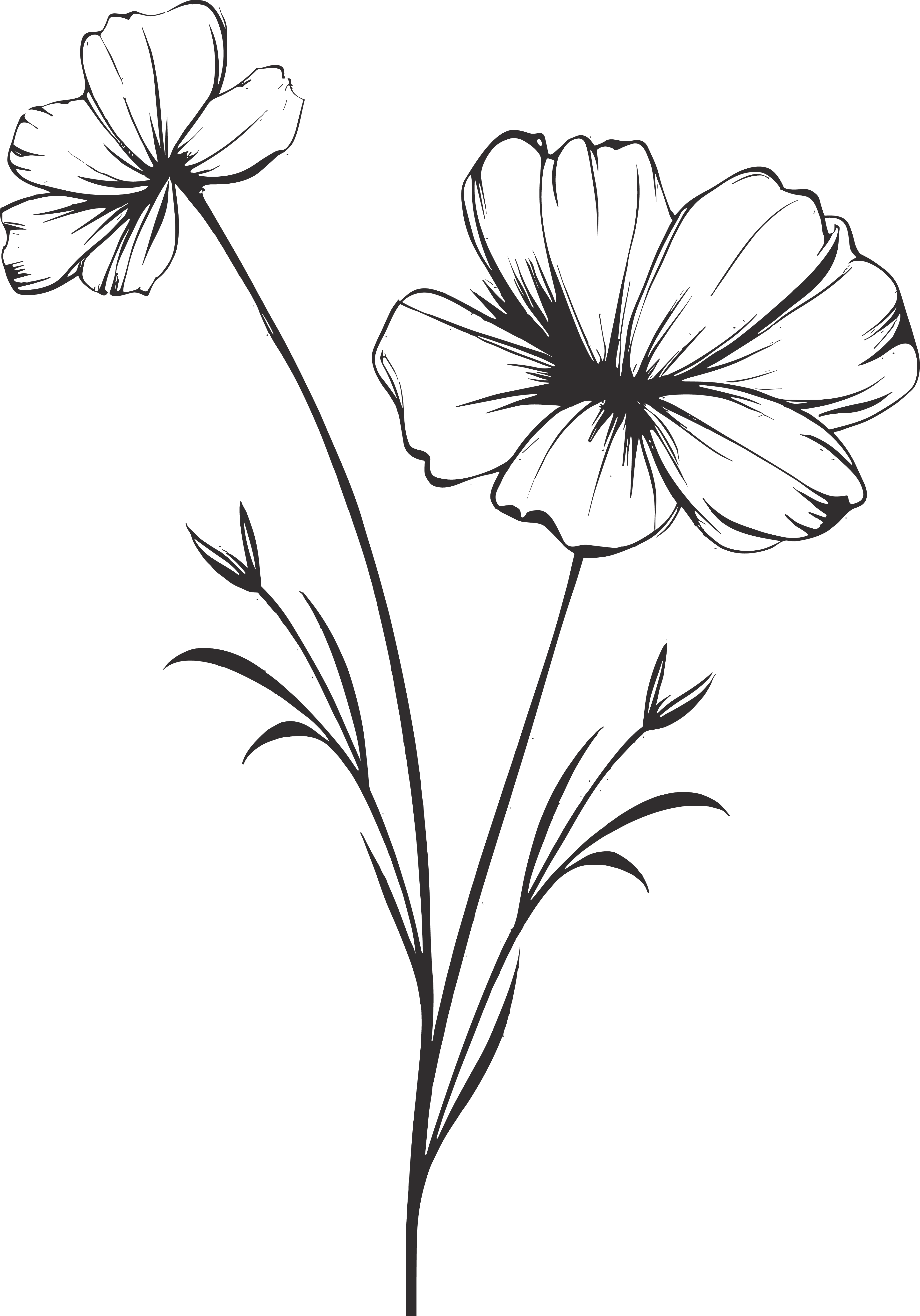 Hand-drawn line art of Gesanghua flowers and leaves material