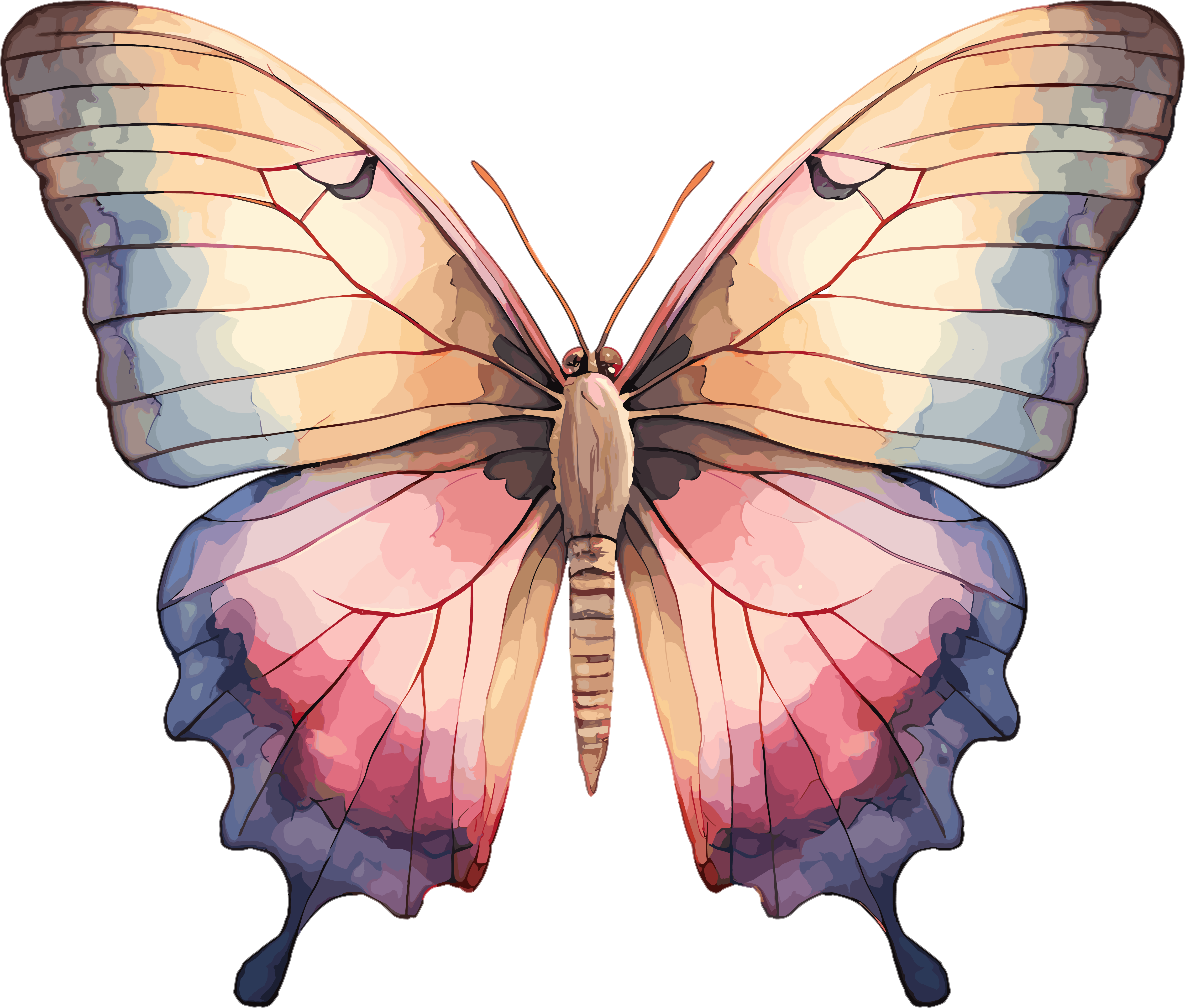 Watercolor Bohemian Butterfly Element Illustration