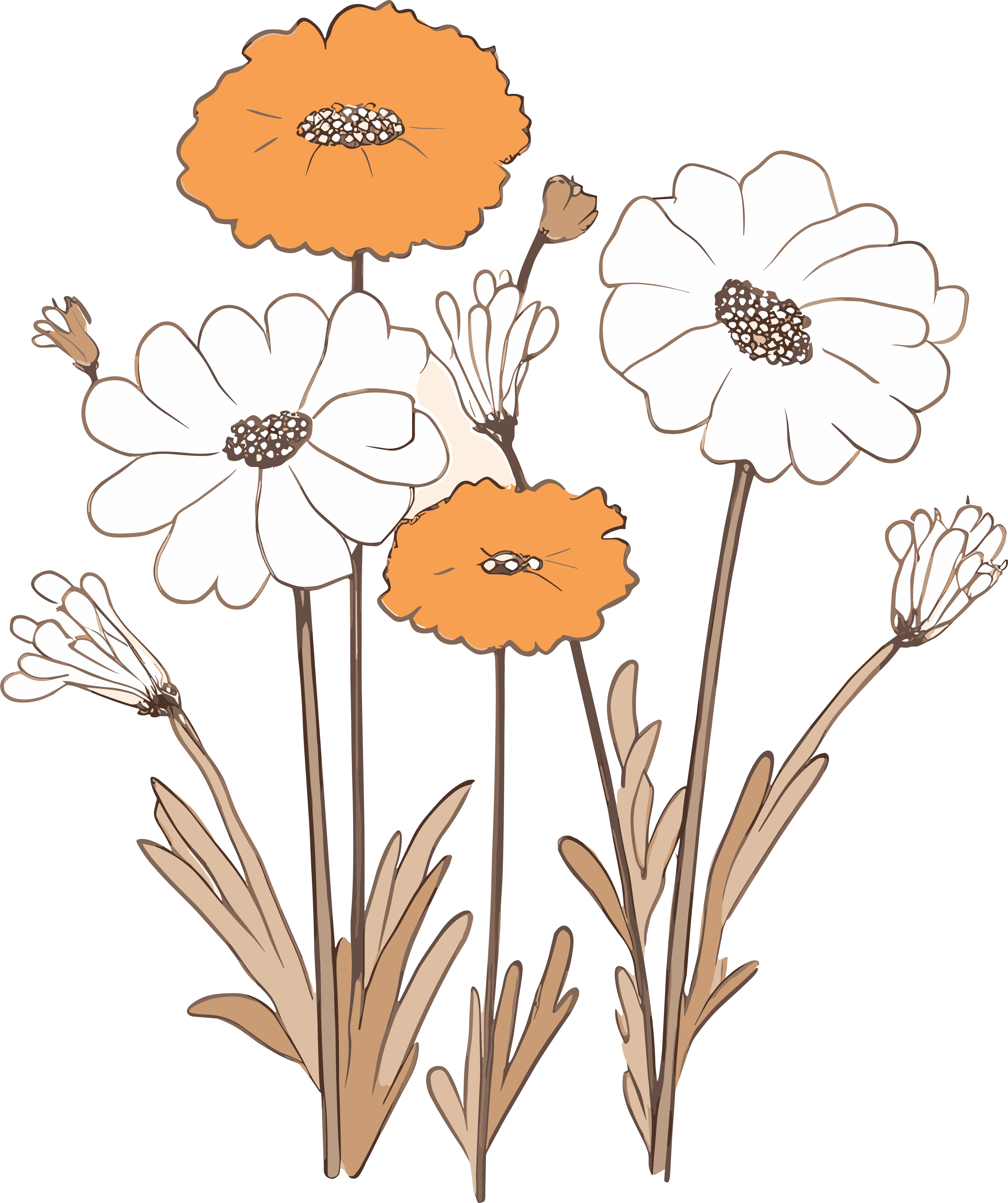 Floral-themed flat and minimalist decorative elements