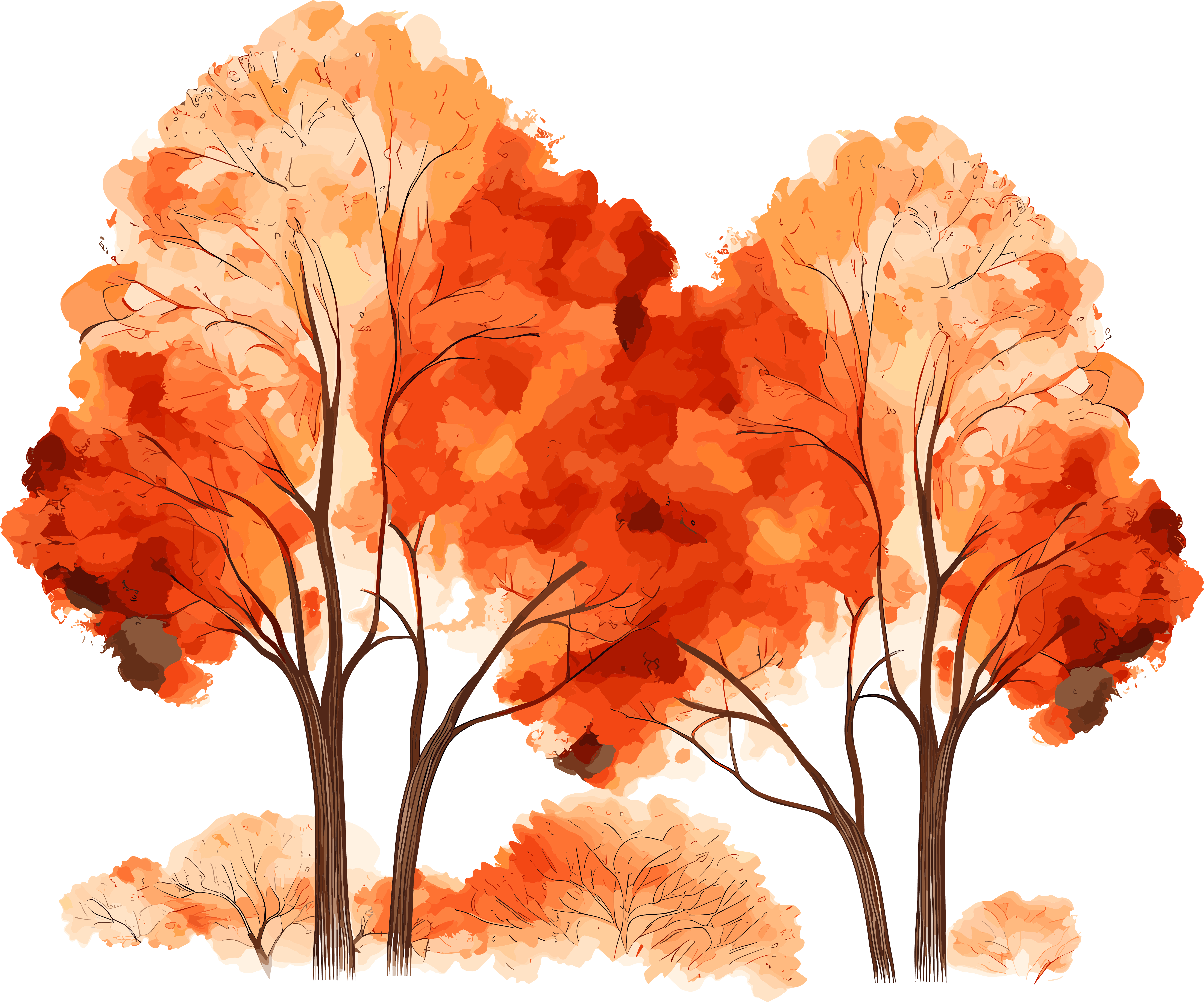 Hand-drawn illustration of a large orange tree on a white background in autumn