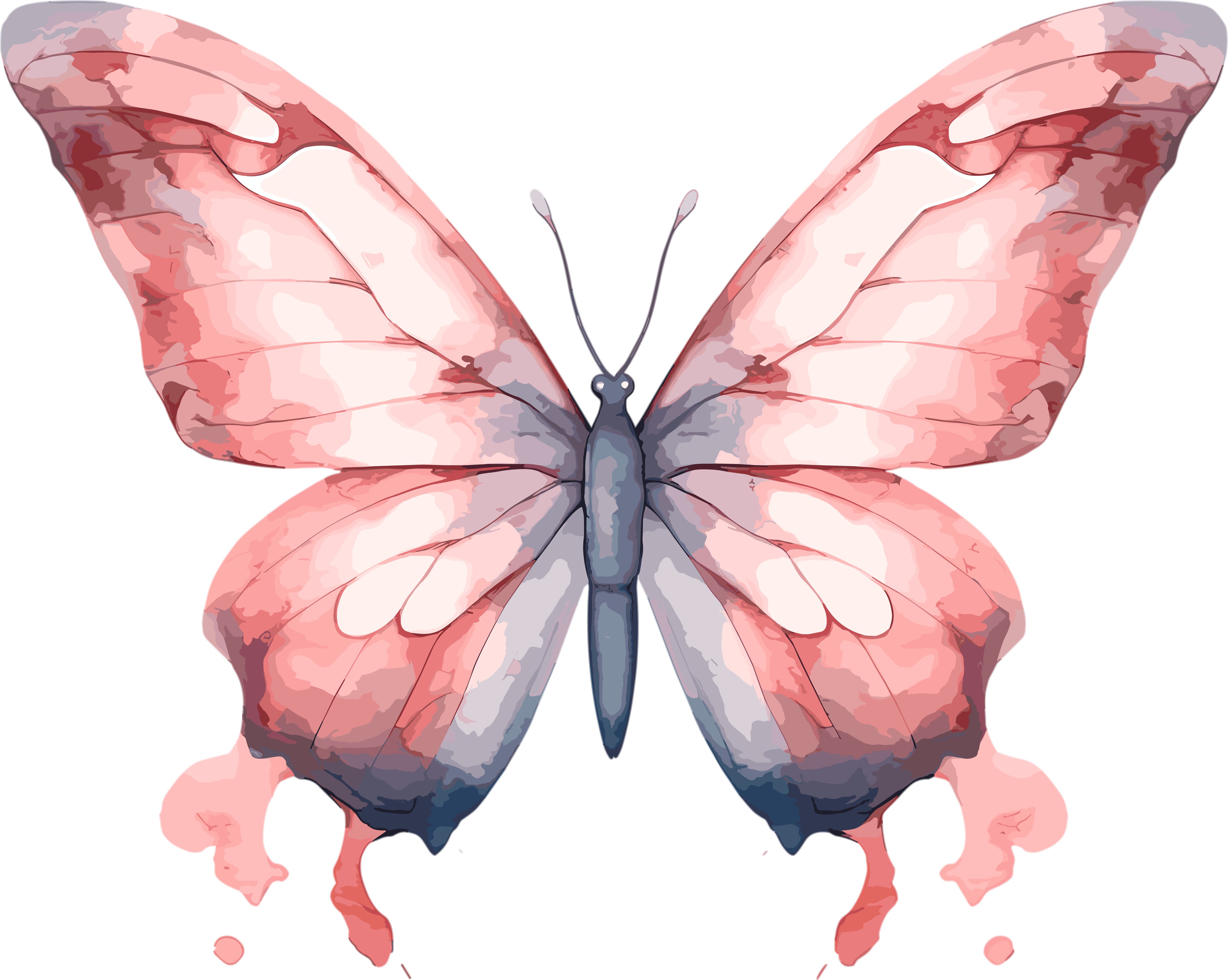 Watercolor Bohemian style butterfly illustration elements