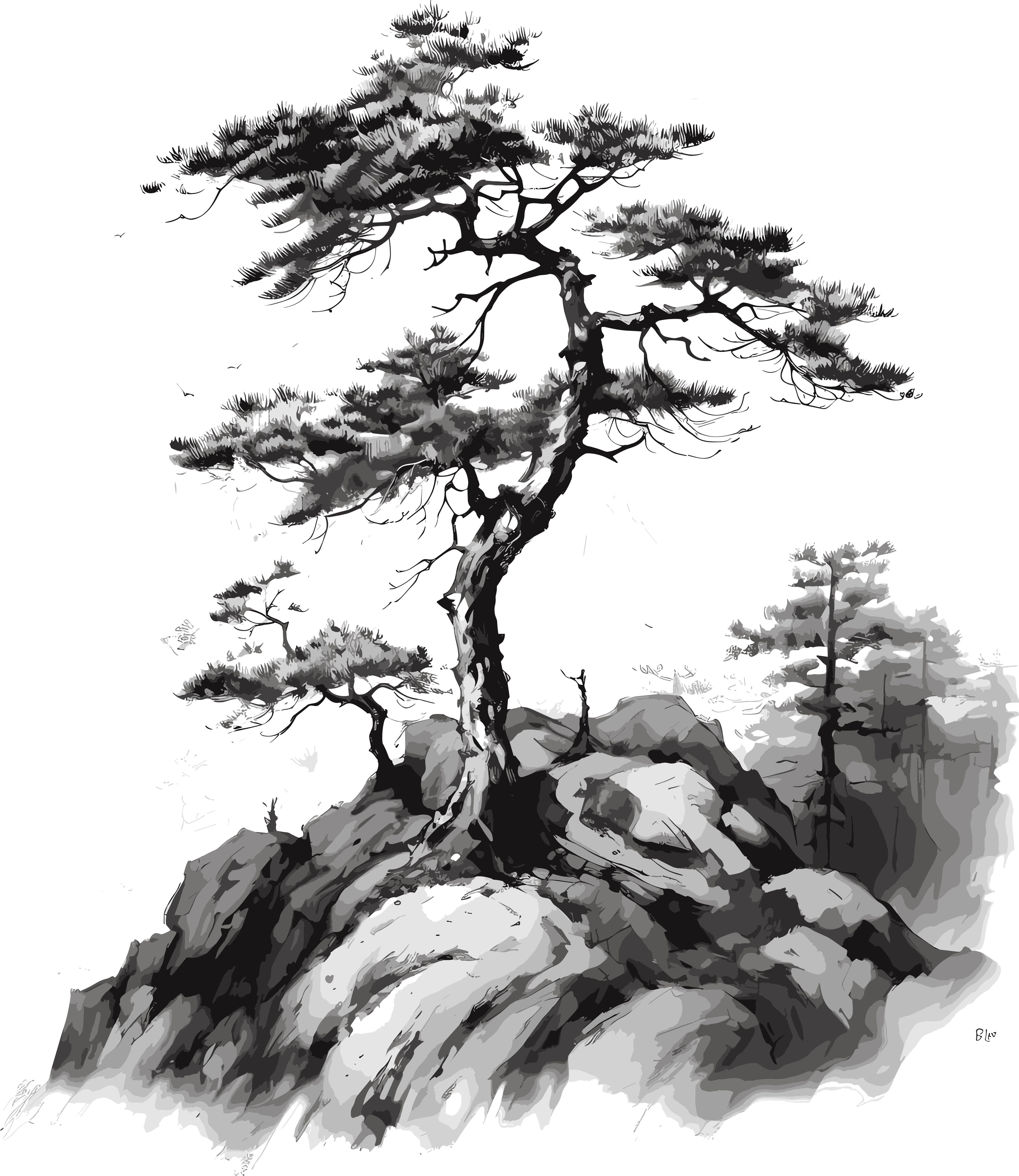Tall Pine Tree Mountains