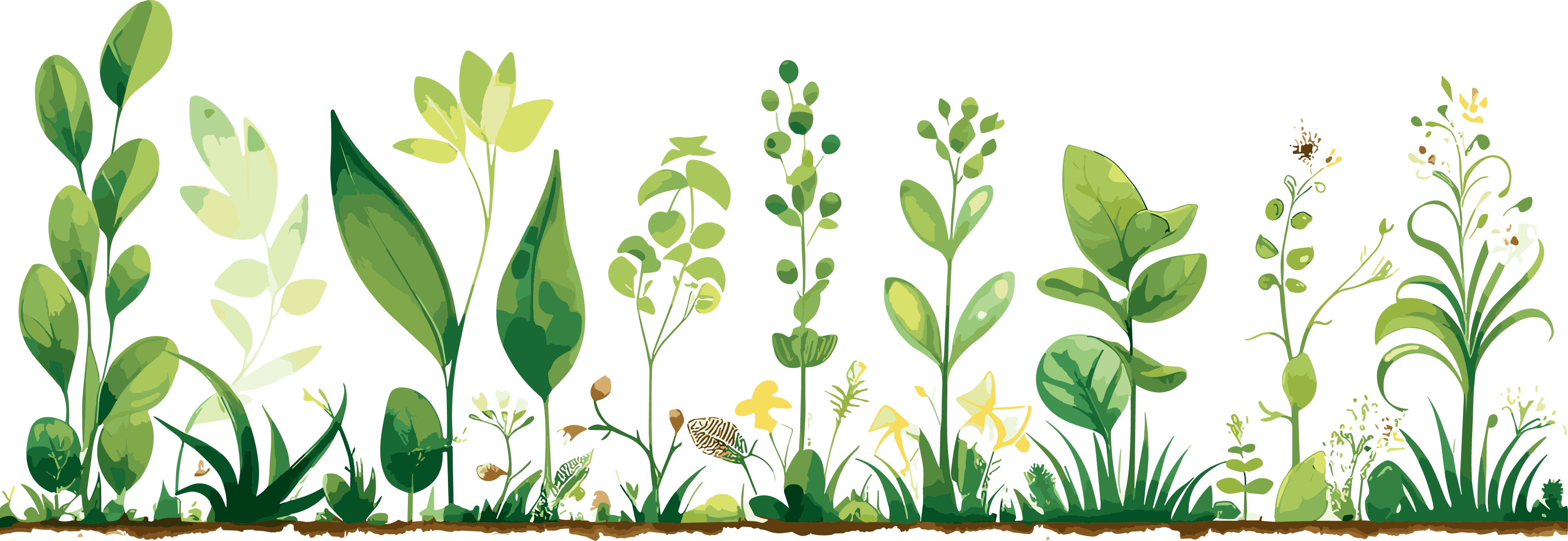 Creative design materials for plant lace