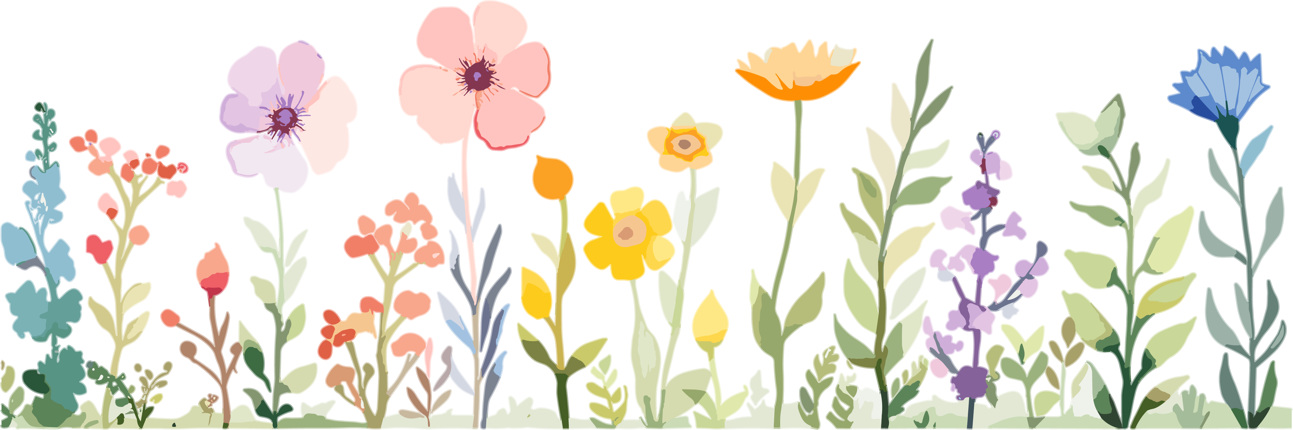 Plant floral border illustration design material