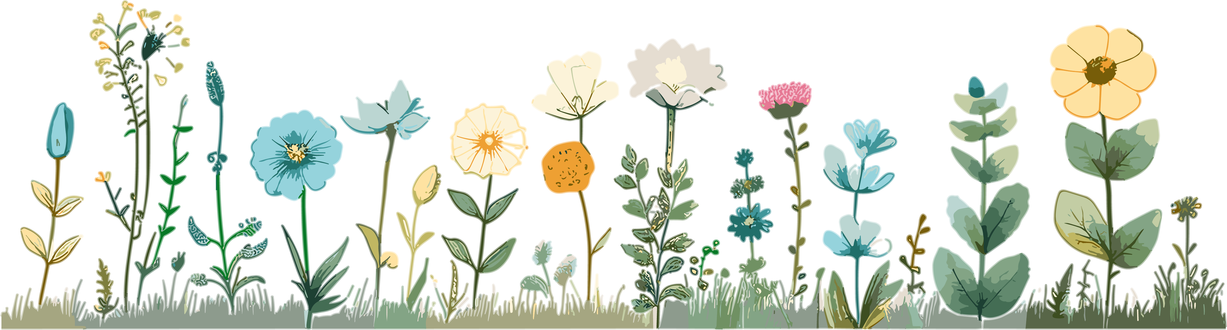 Simple floral design elements with plant lace