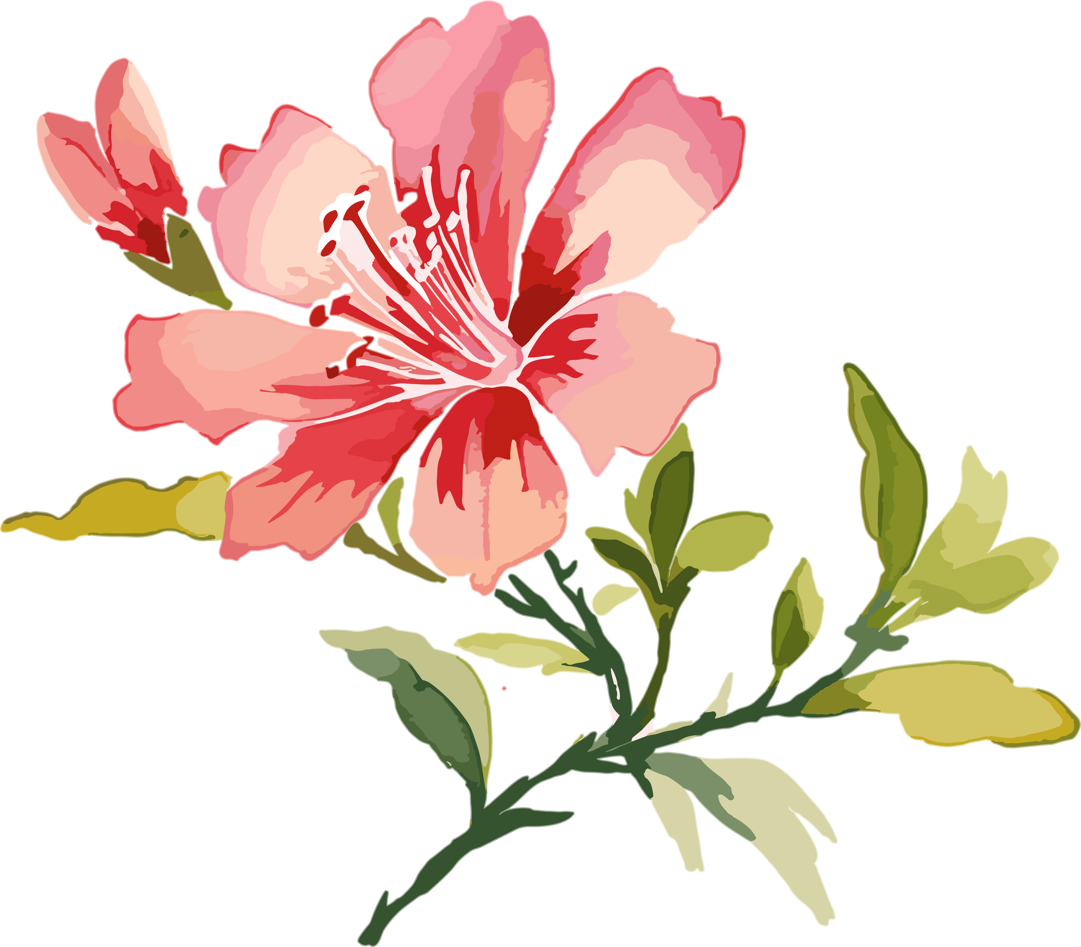 High-definition watercolor floral graphic material
