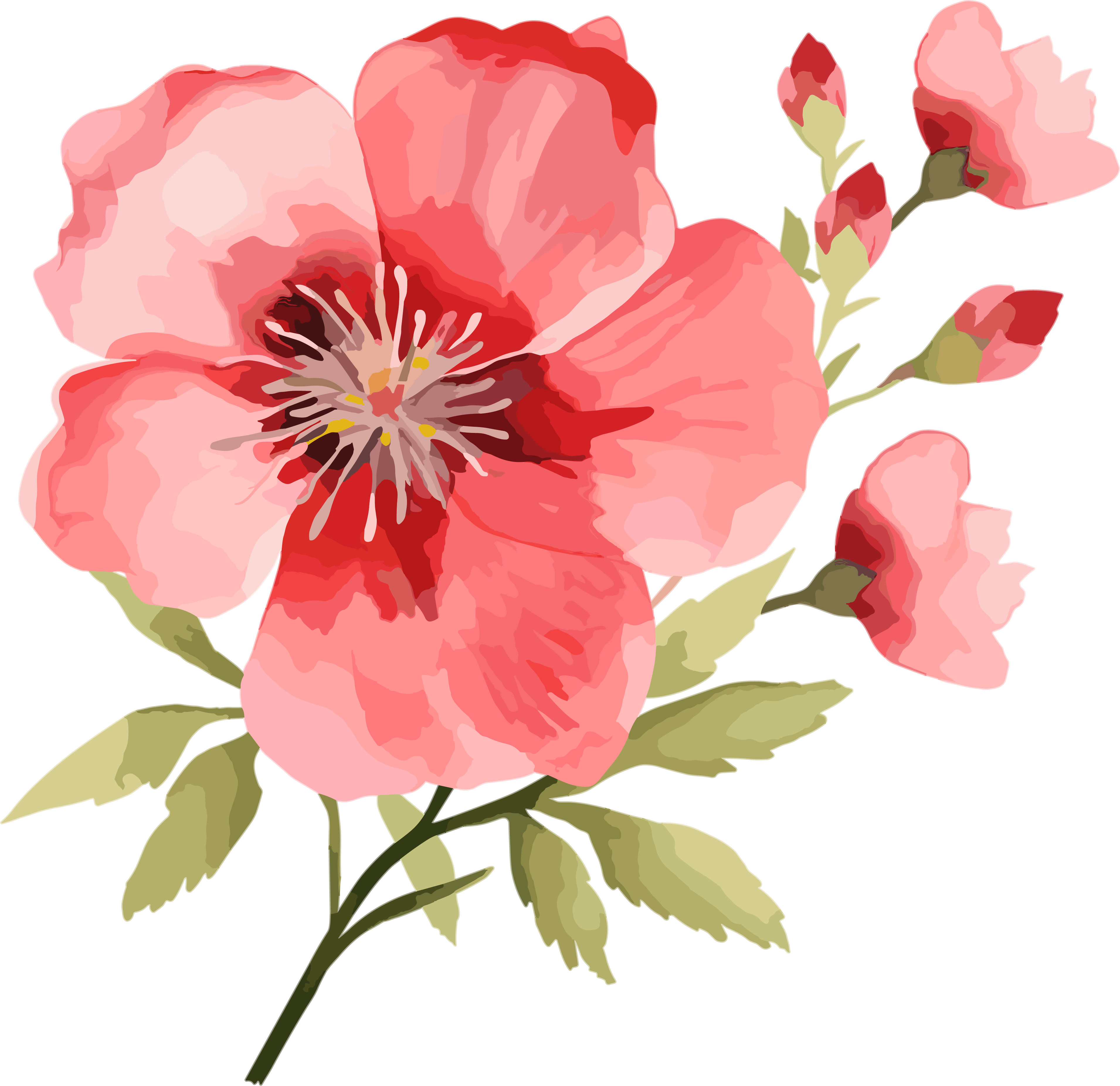 High-definition PNG graphic material of watercolor flowers