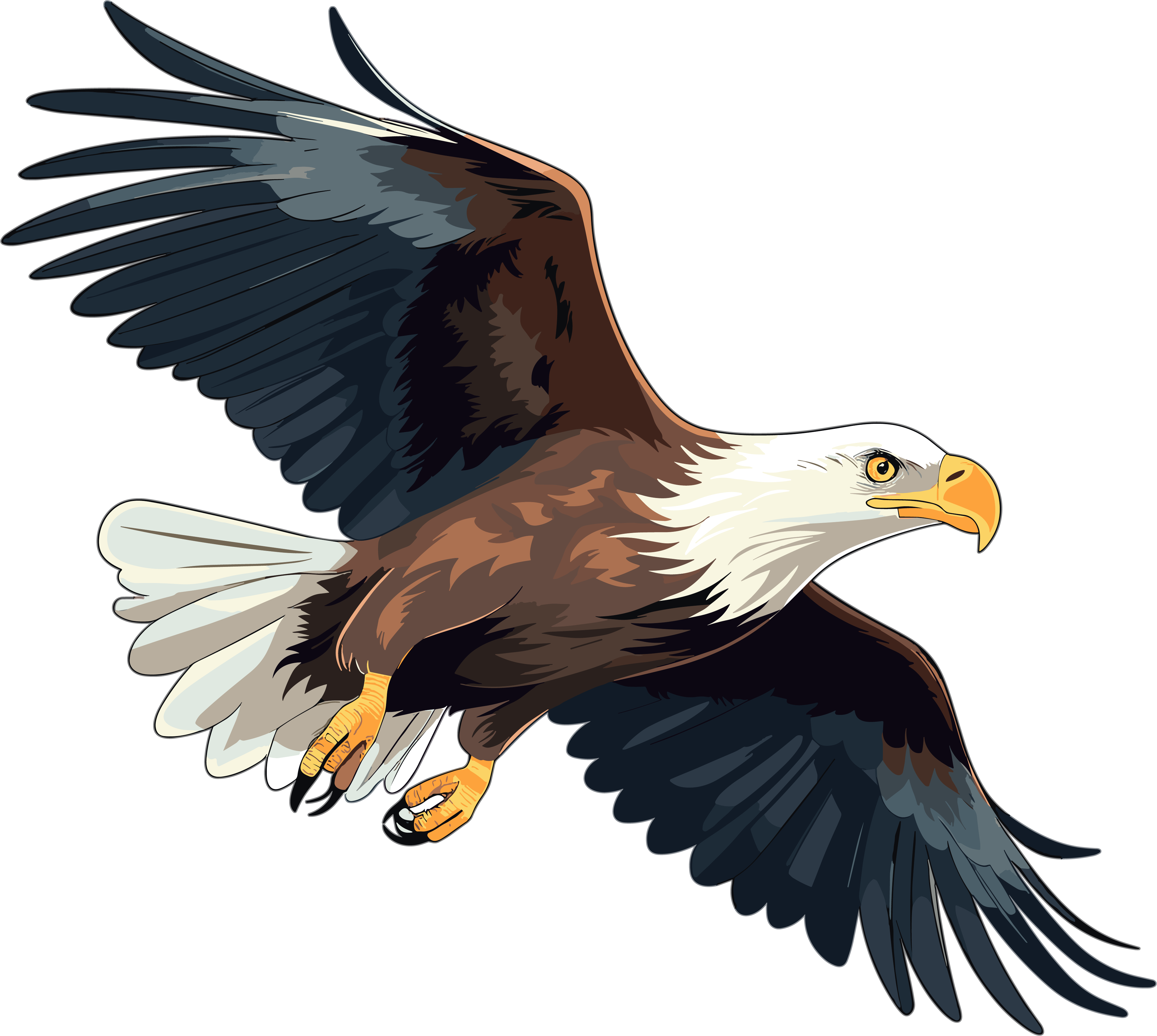 Eagle design element graphic material