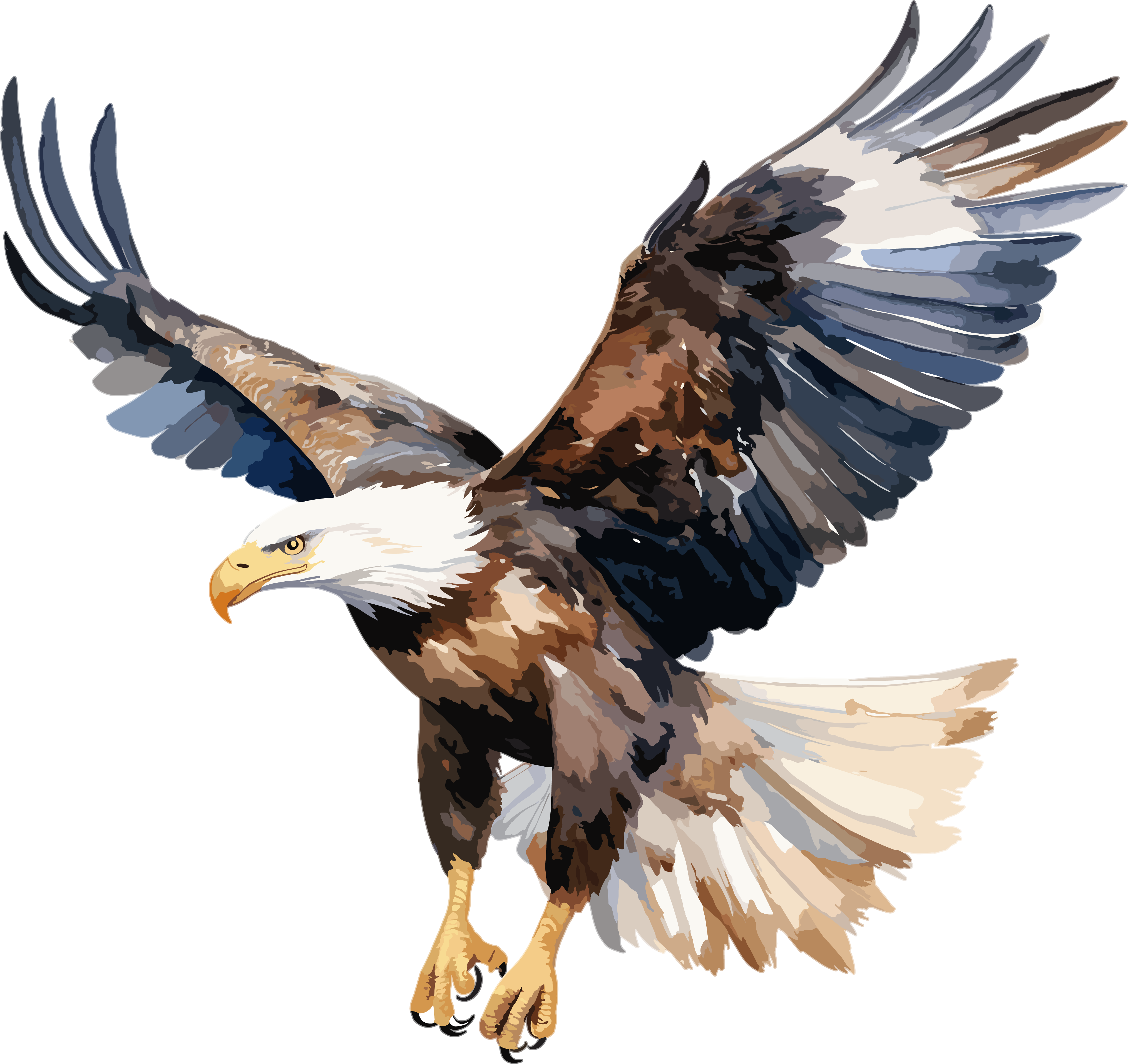 Eagle watercolor illustration materials