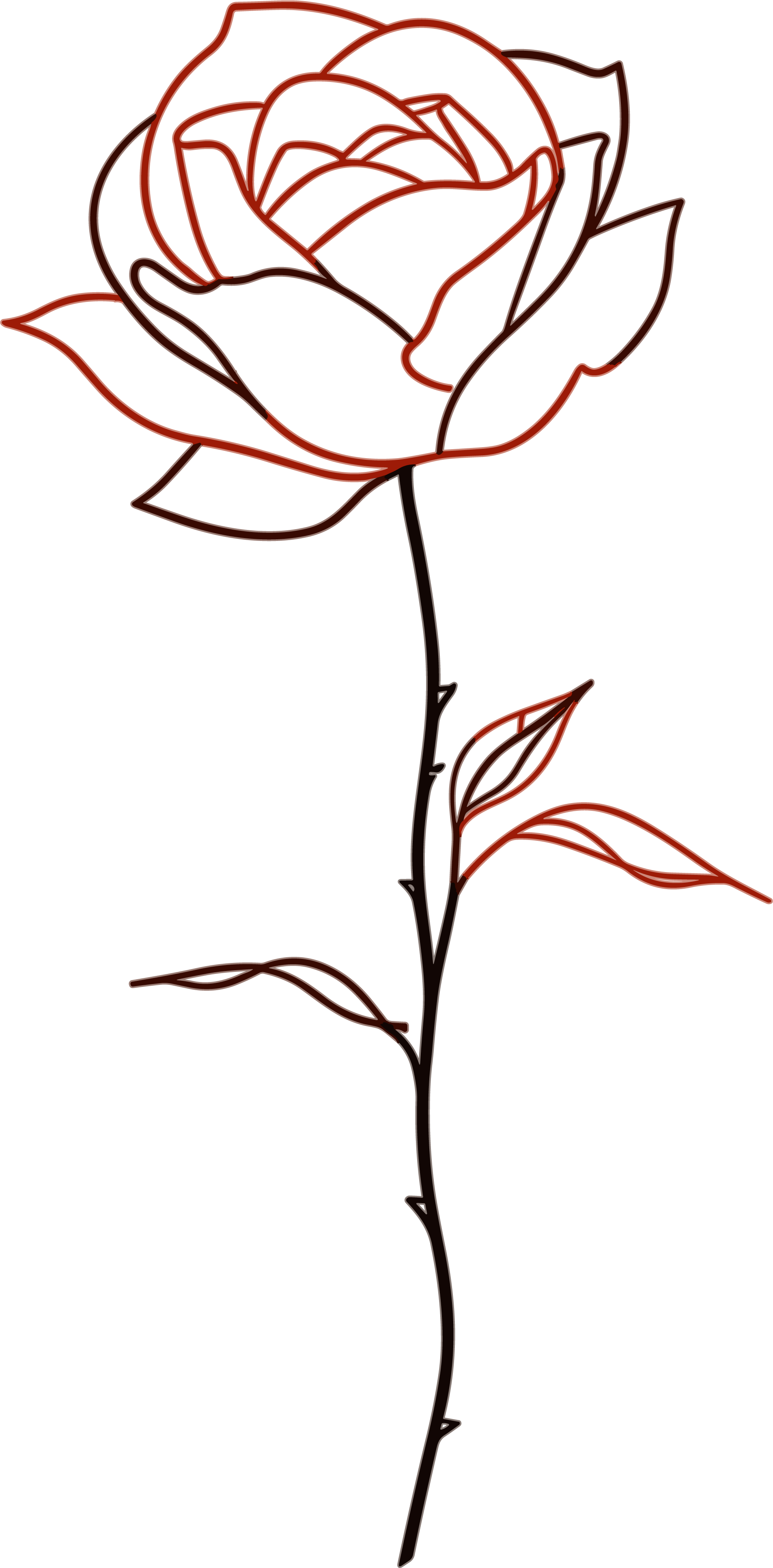 Line Rose Flower Commercial Illustration