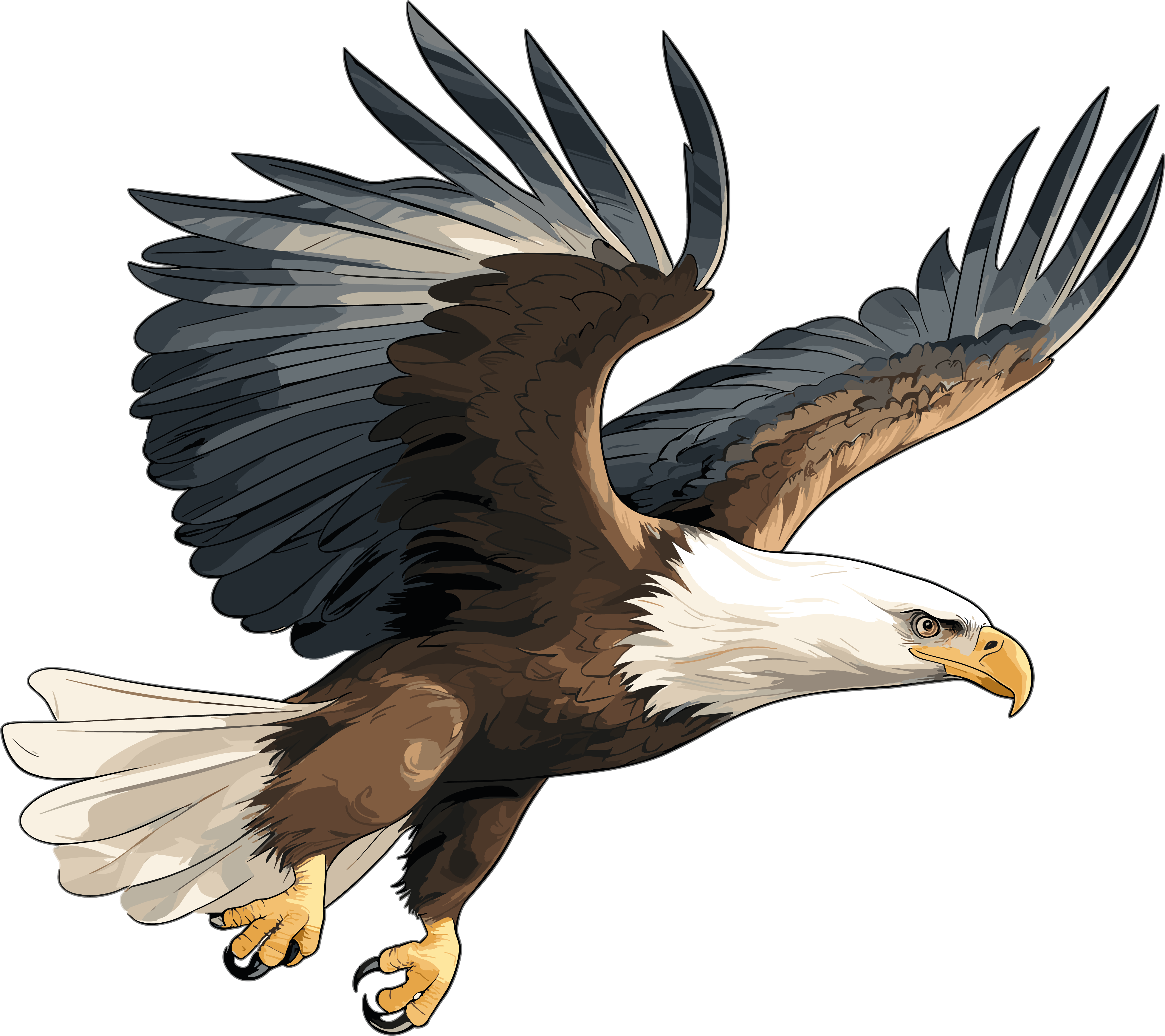 Eagle Commercial Illustration