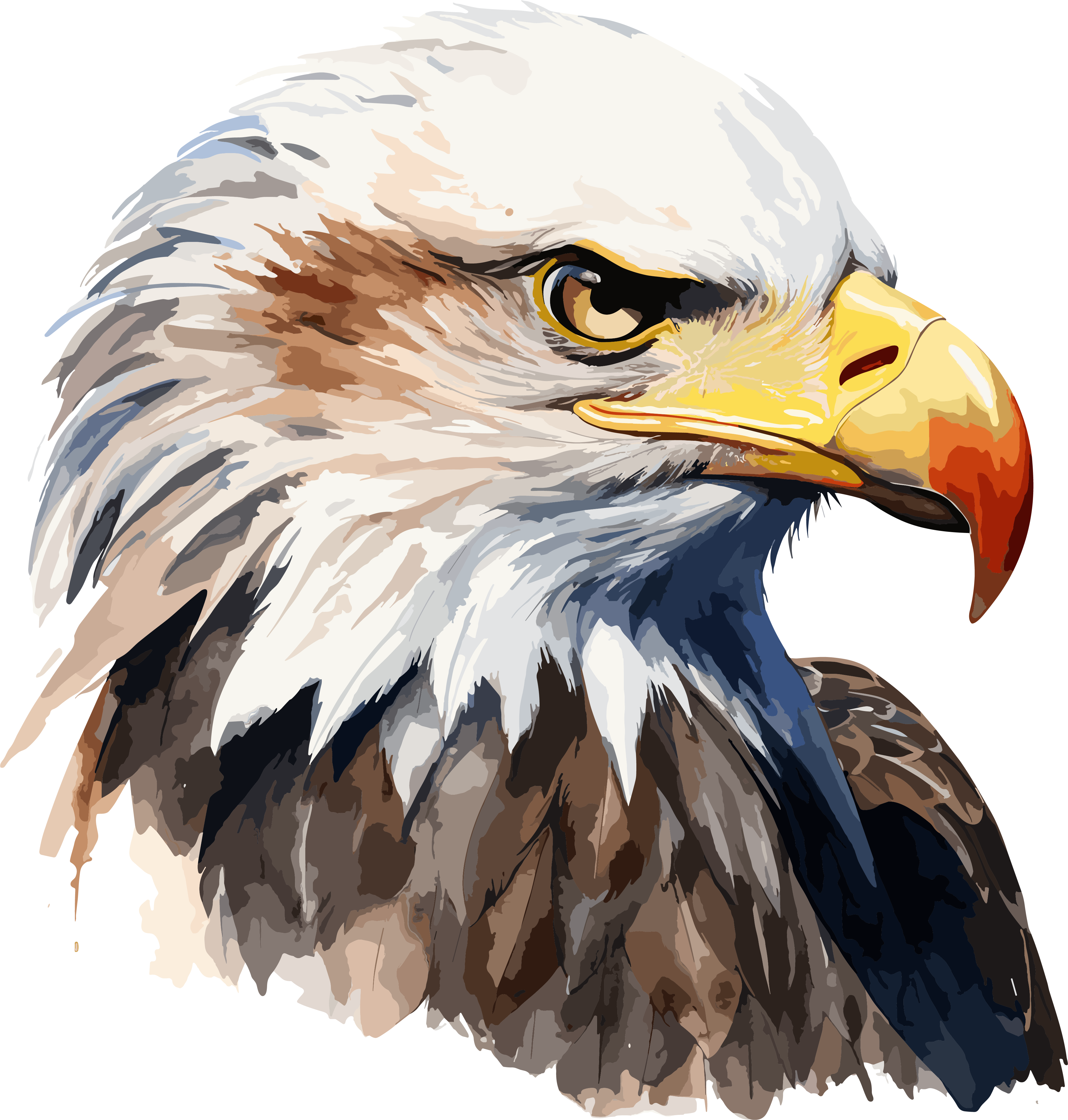 Eagle graphic design element