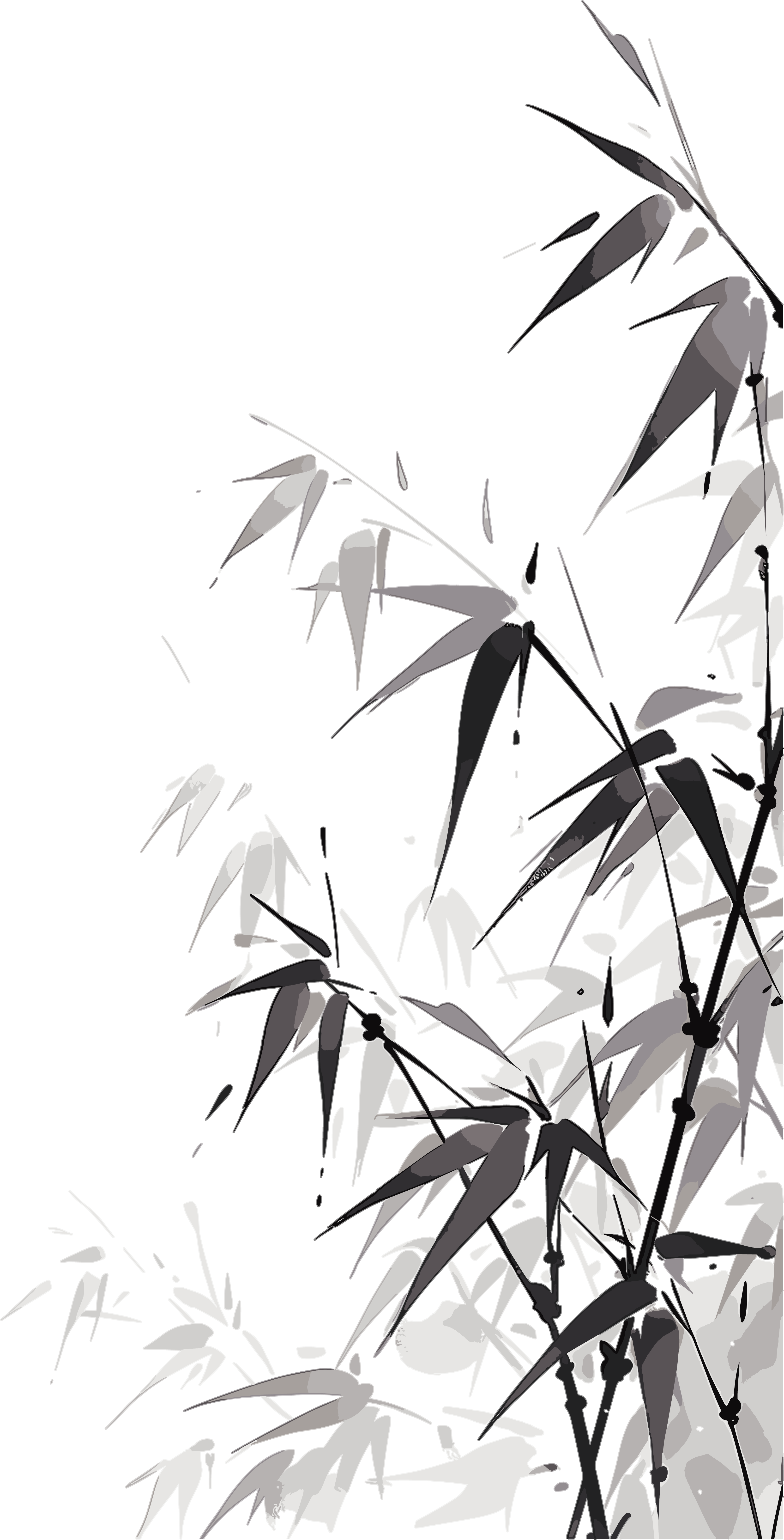 Black and white painting materials of bamboo in ink wash style
