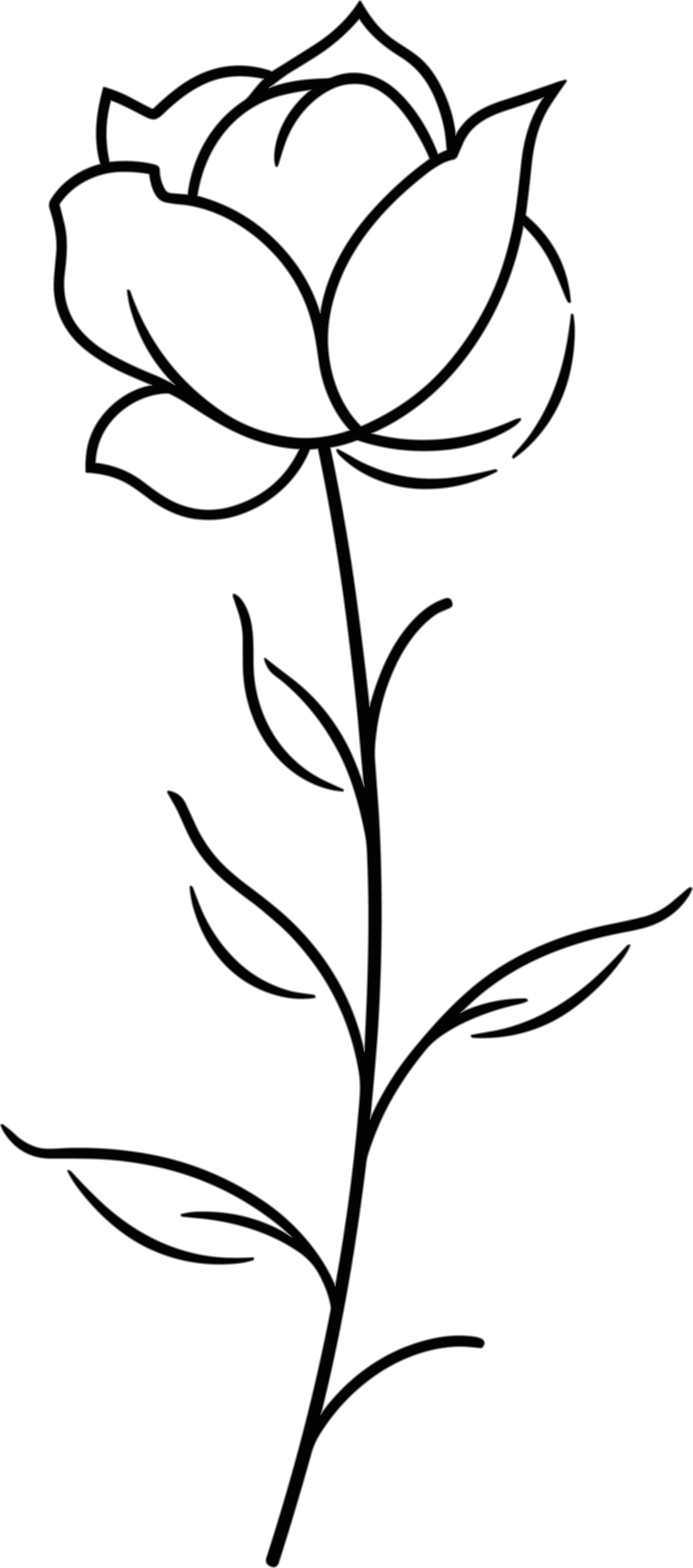 Line Rose Flower Commercial Creative Design Material