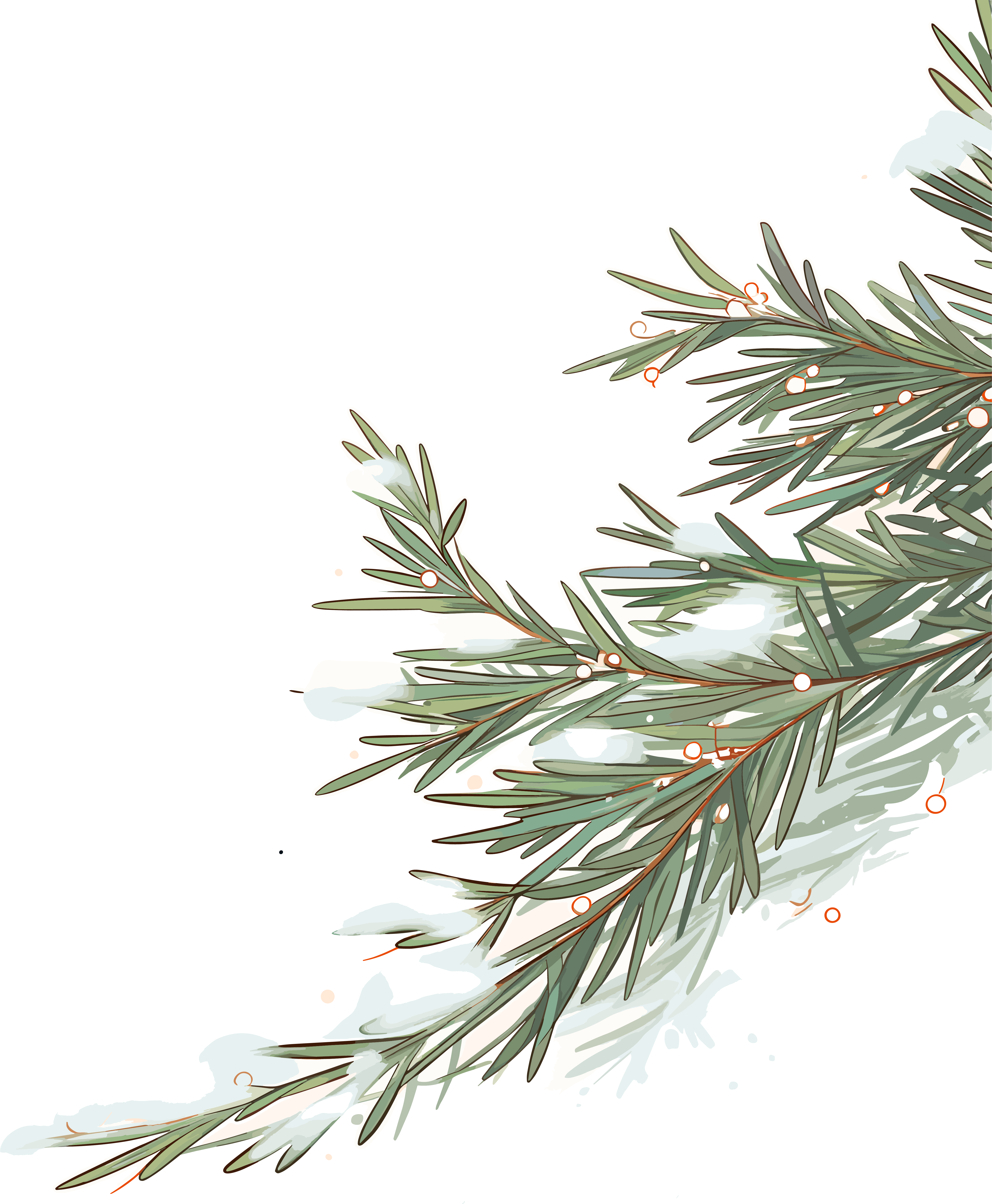High-quality material of snow on pine branches