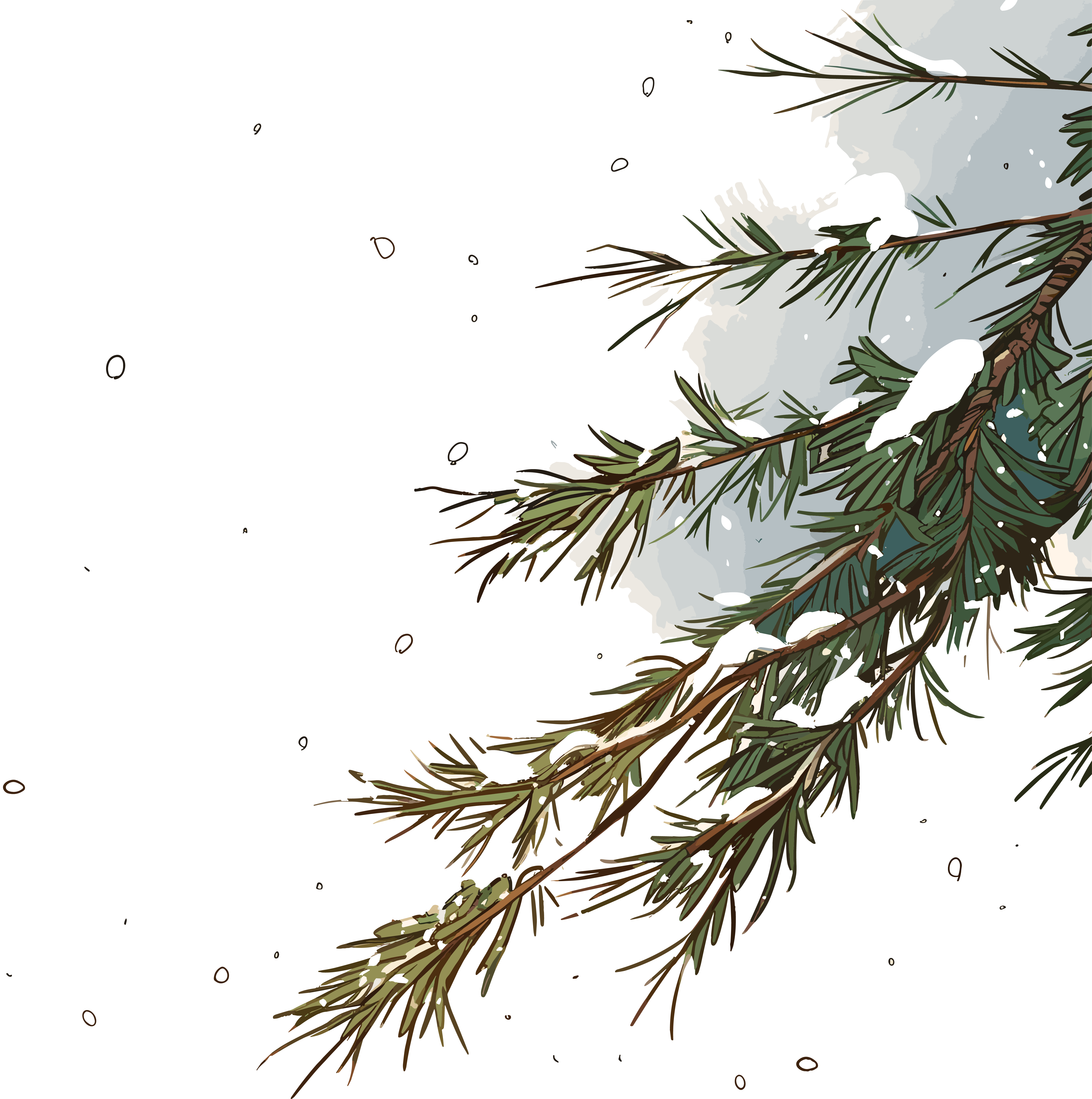 Illustration of snow on pine branches