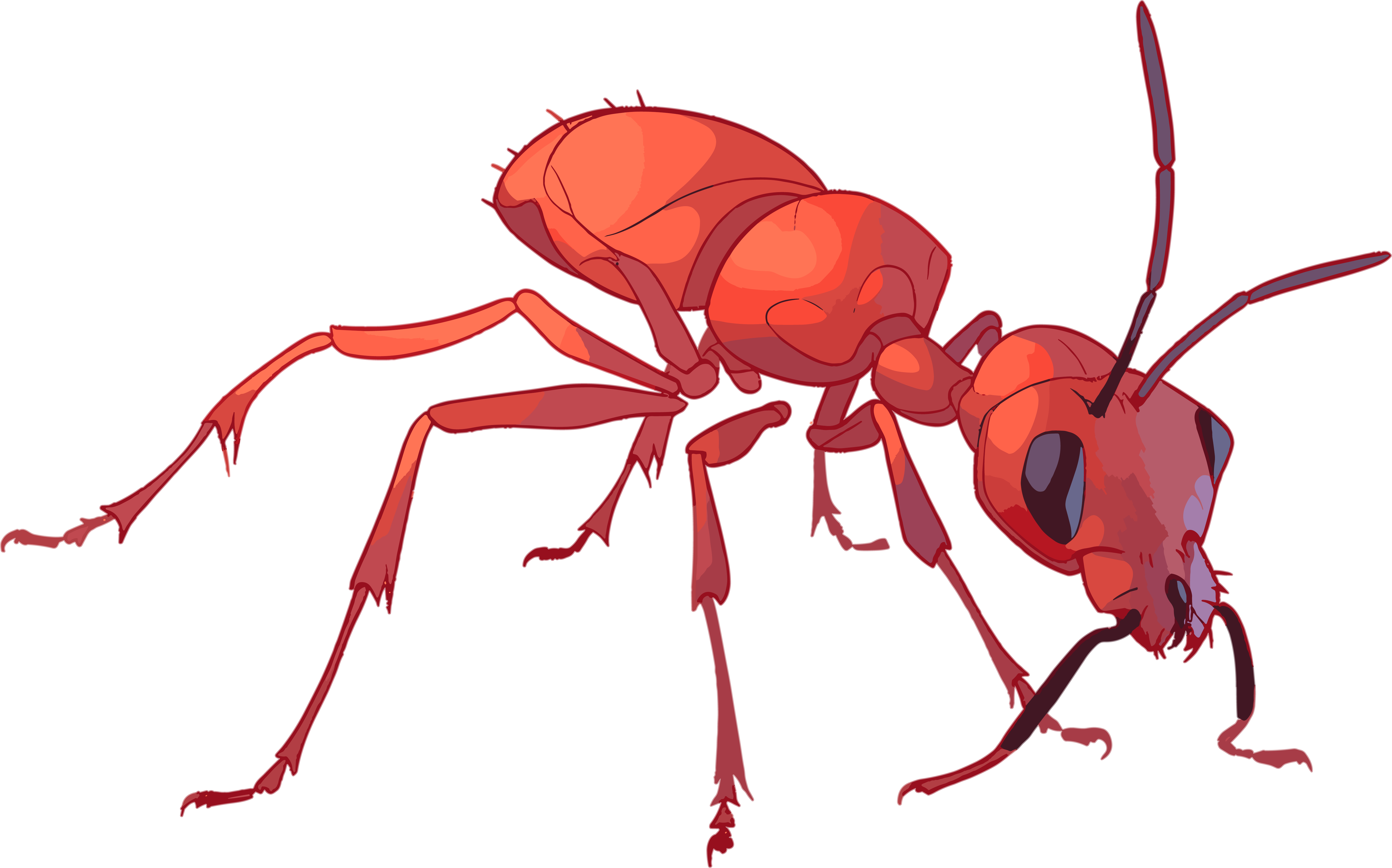 Ant cartoon HD graphic material