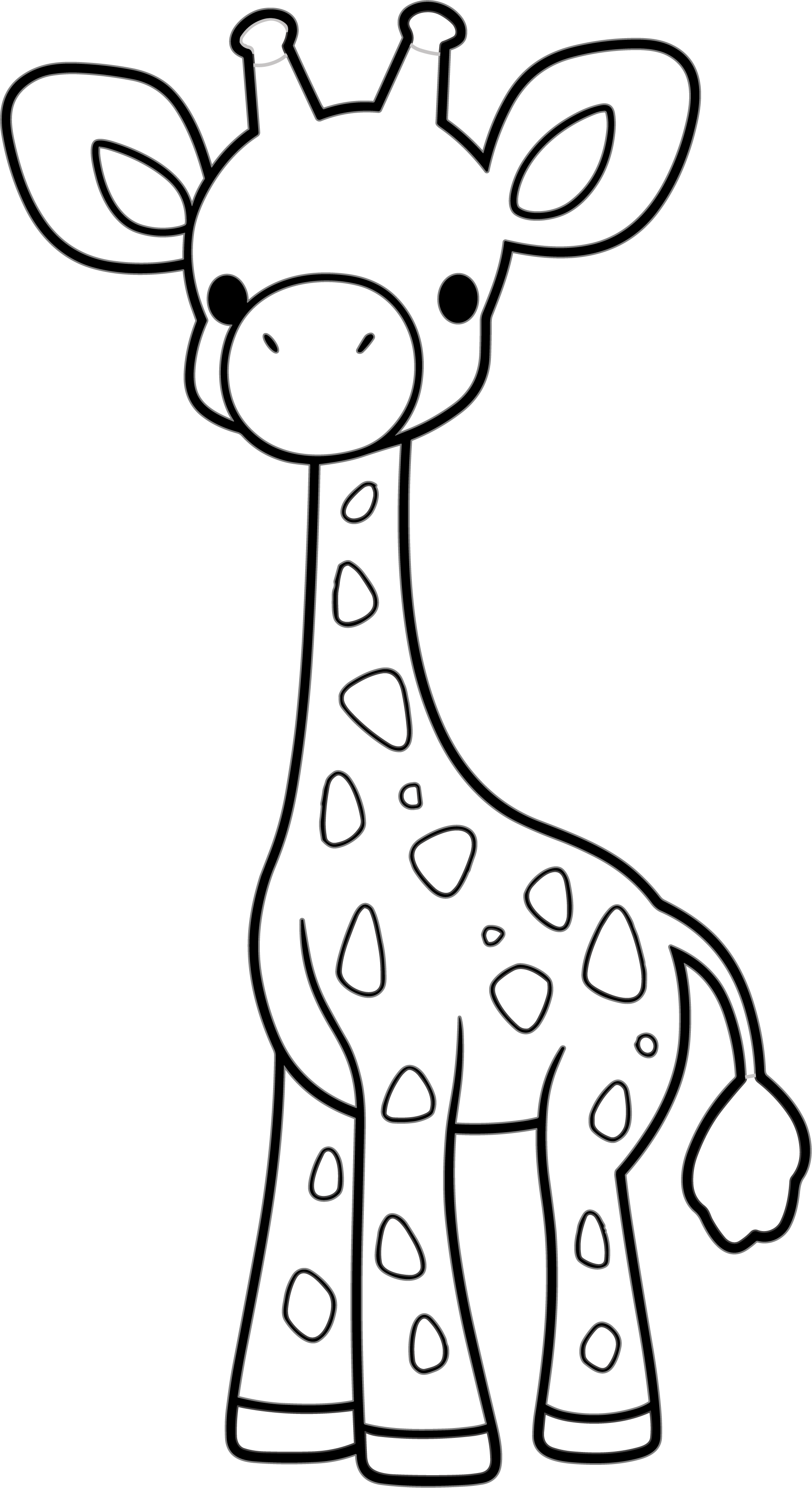 Animal Doodle