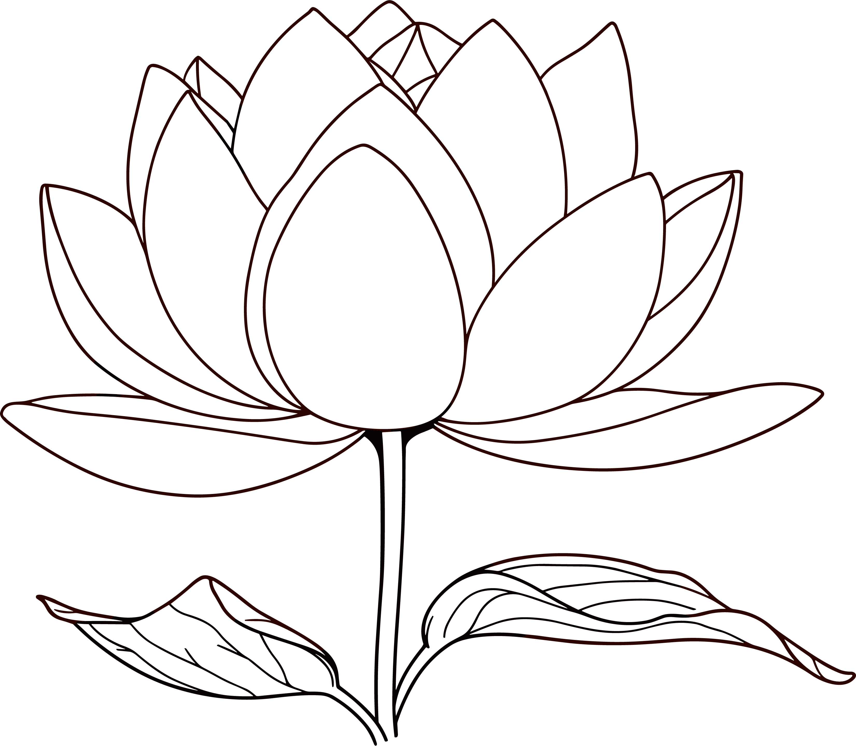 Lotus Simple Line Drawing