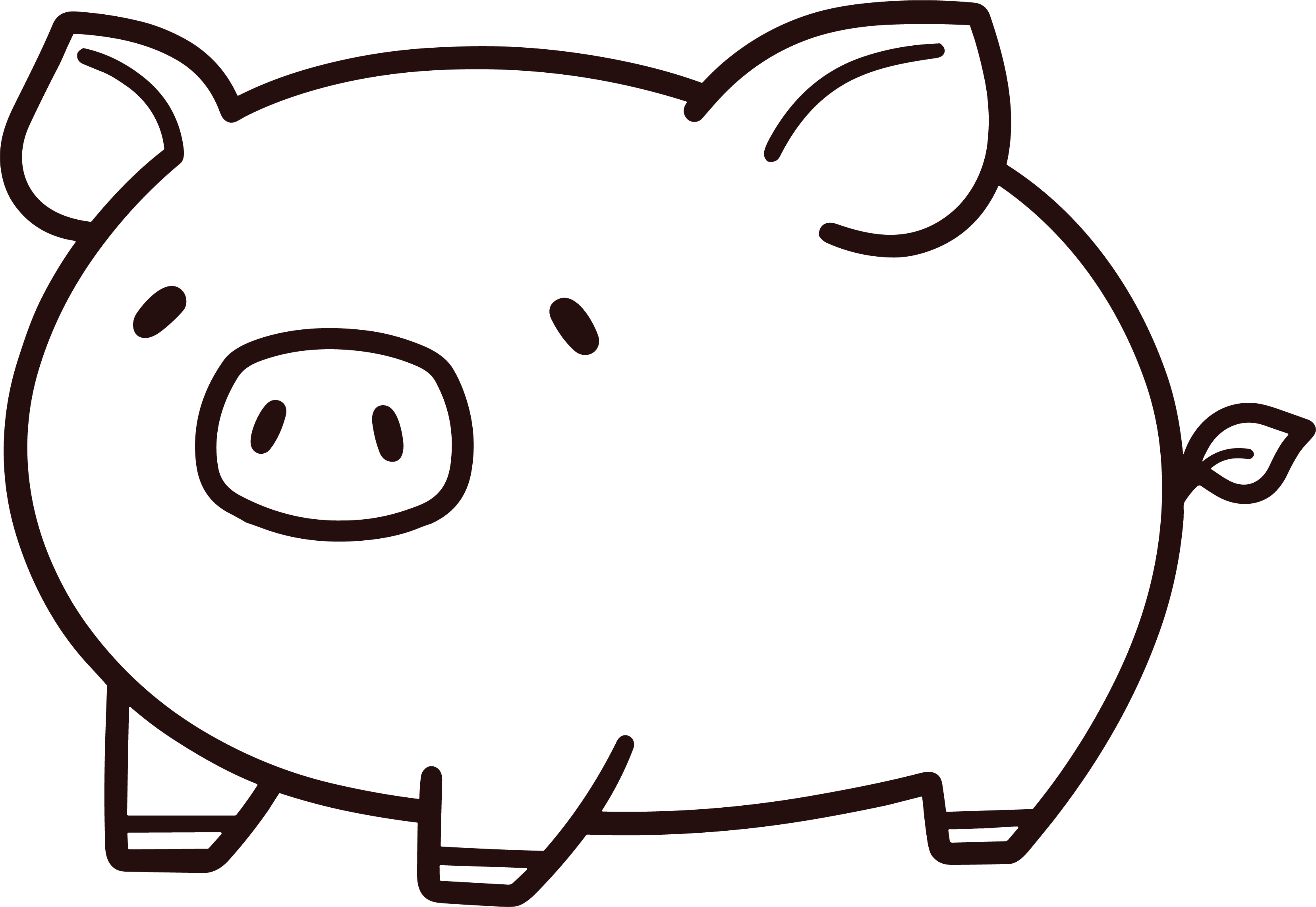 Pig Simple Drawing