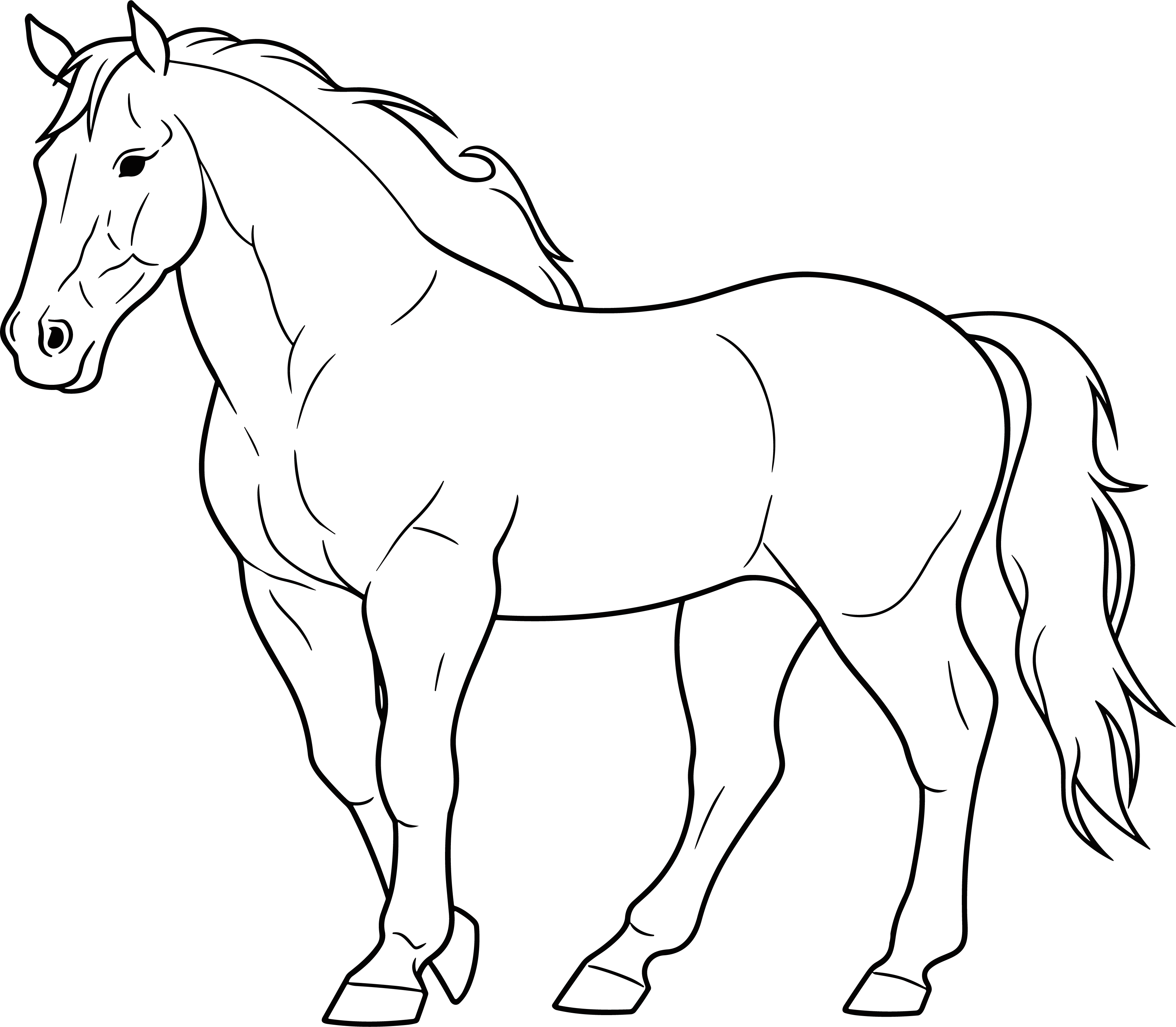 Simple drawing of a horse