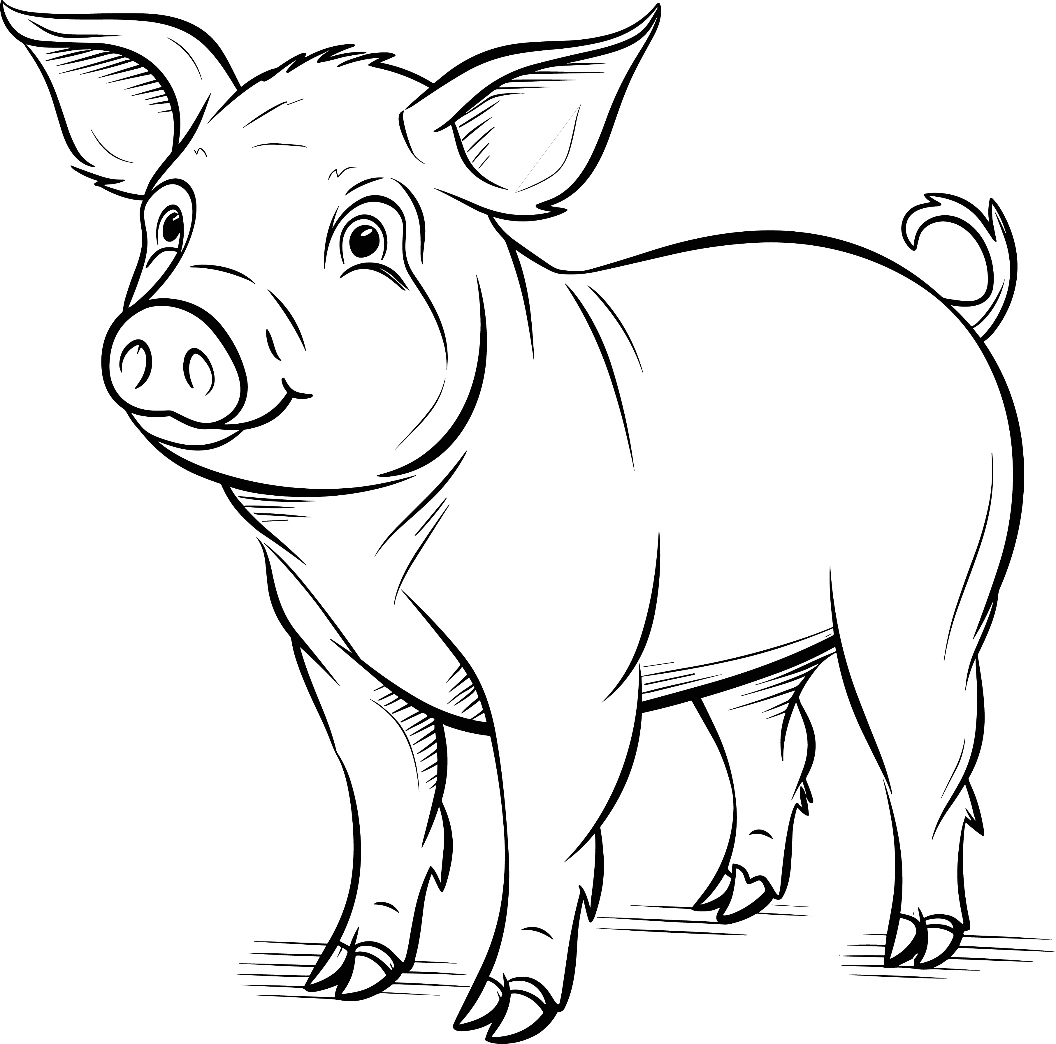 Pig's simple drawing