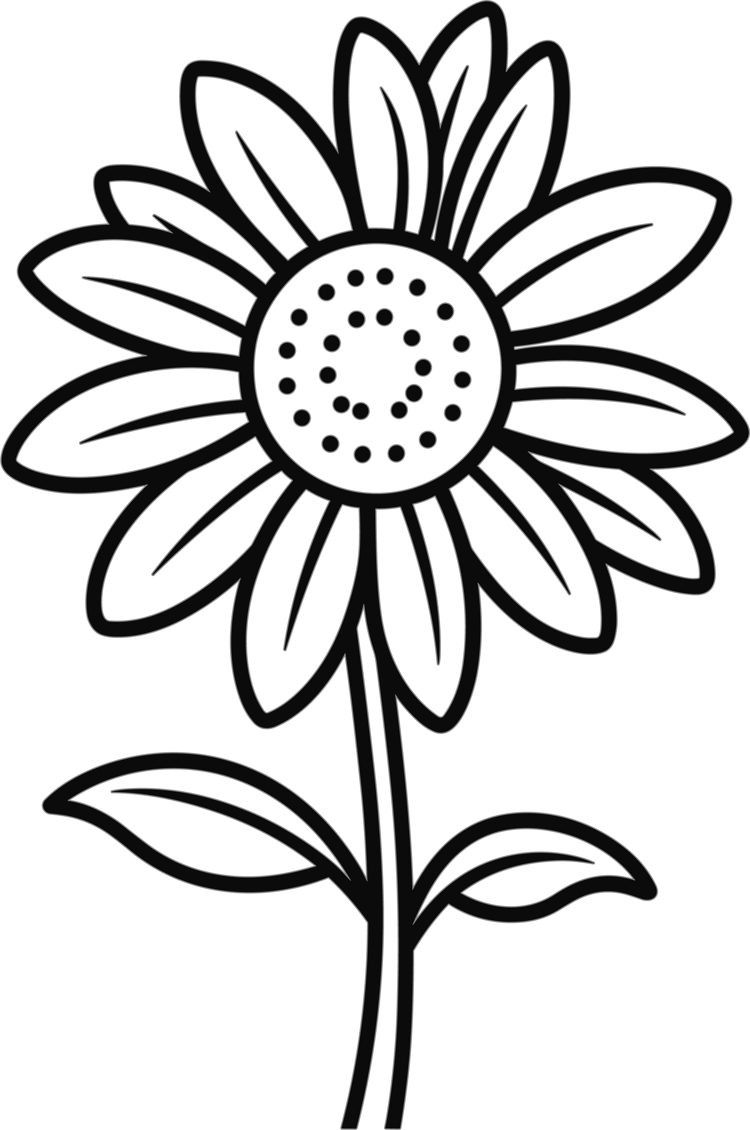 Simple Flower Line Drawing Picture Collection
