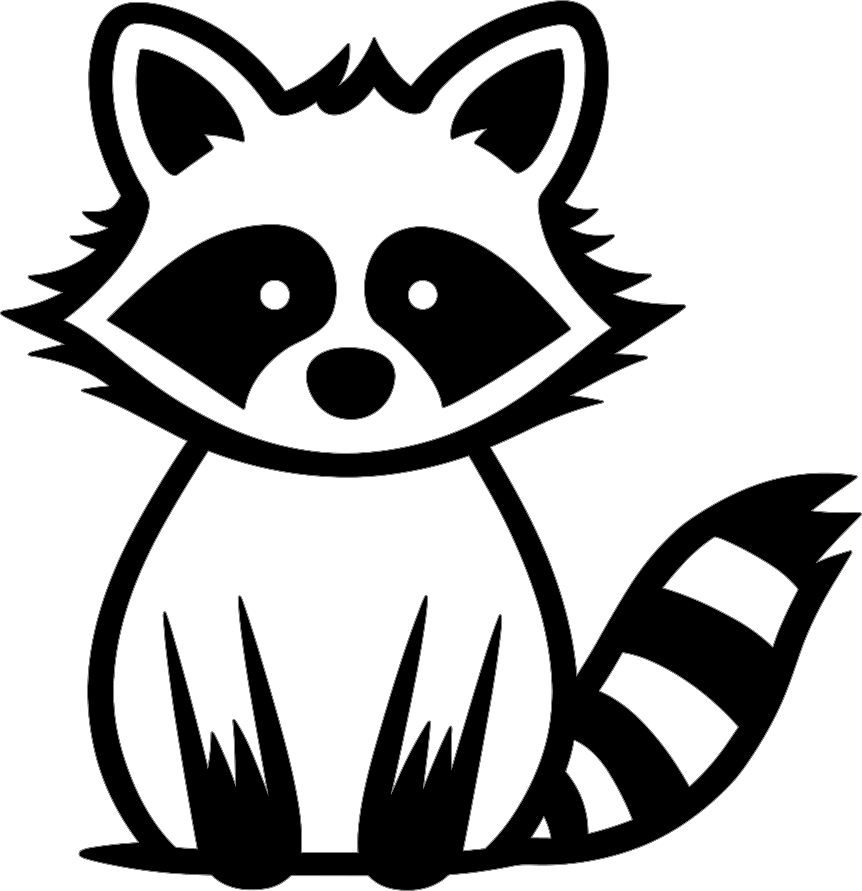 Raccoon Doodle