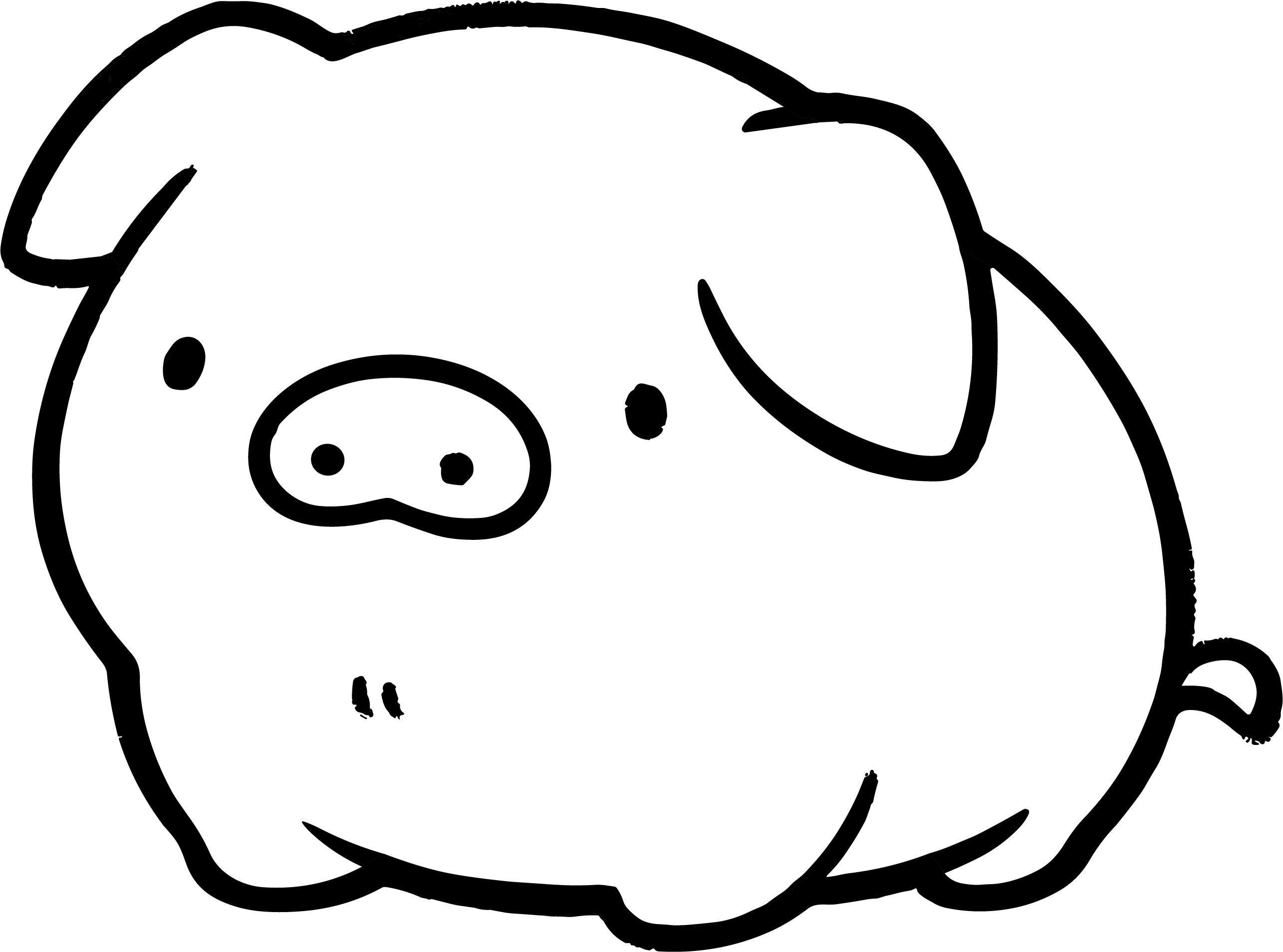 Pig's simple drawing