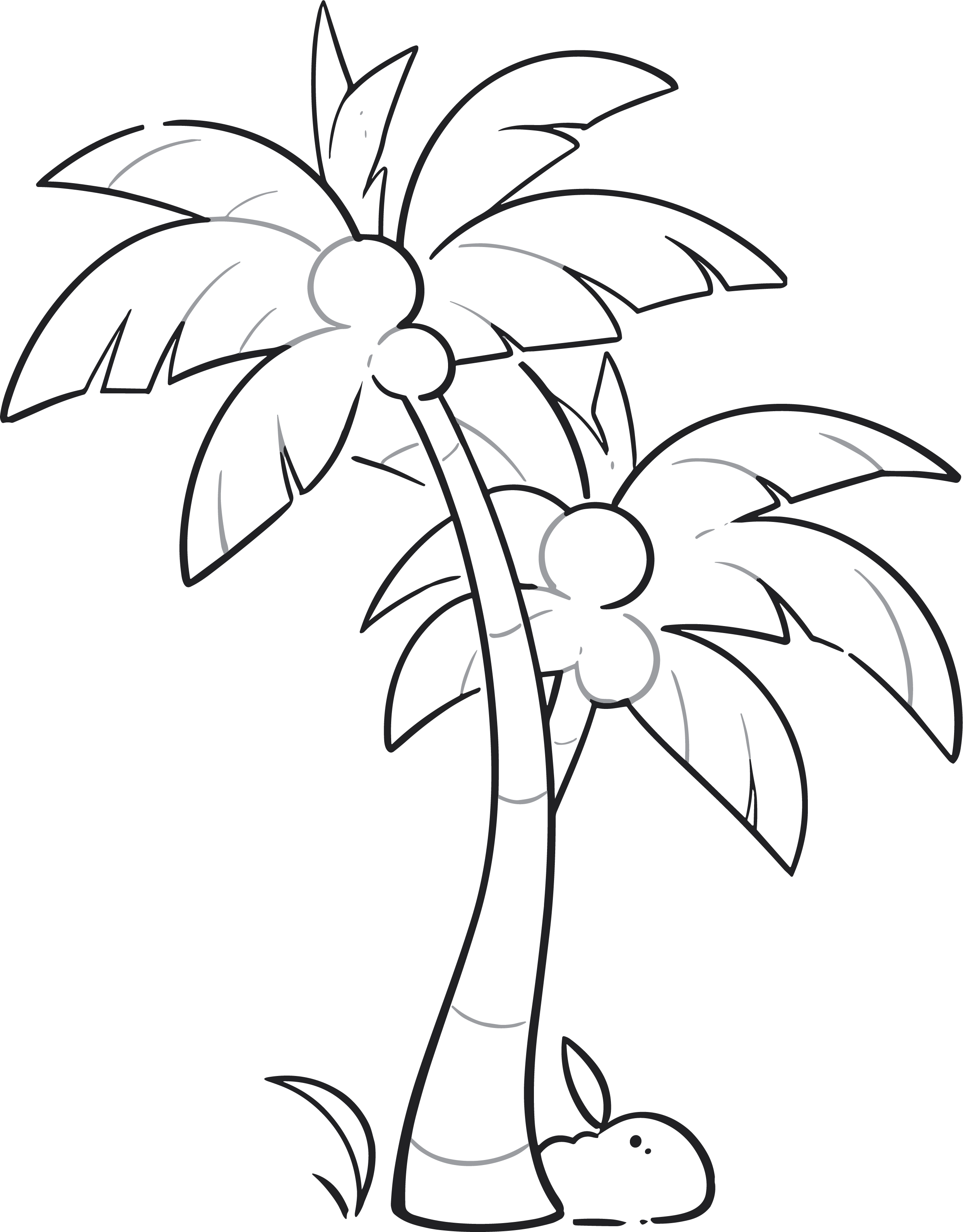 Coconut tree sketch