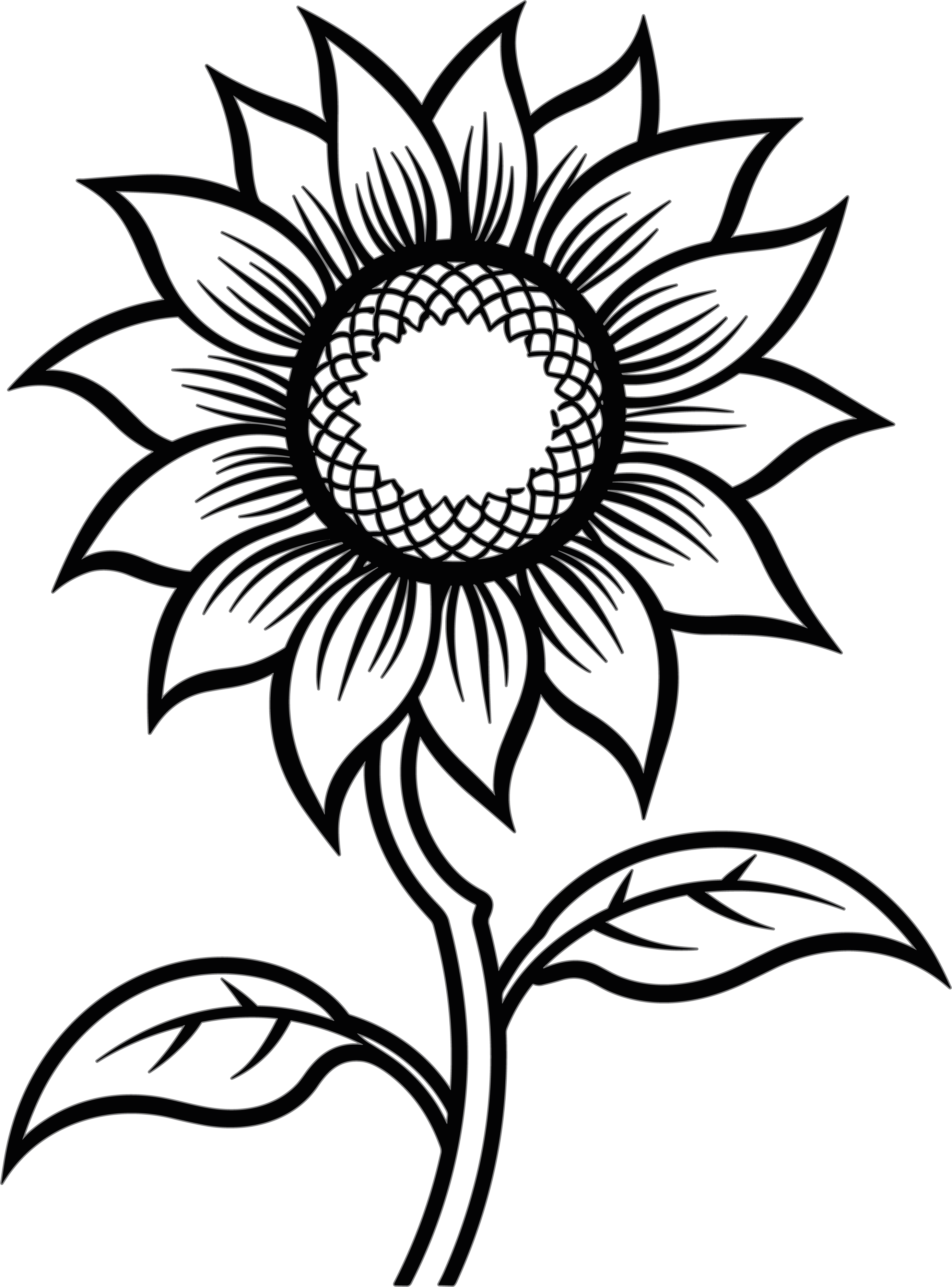 Sunflower simple drawing