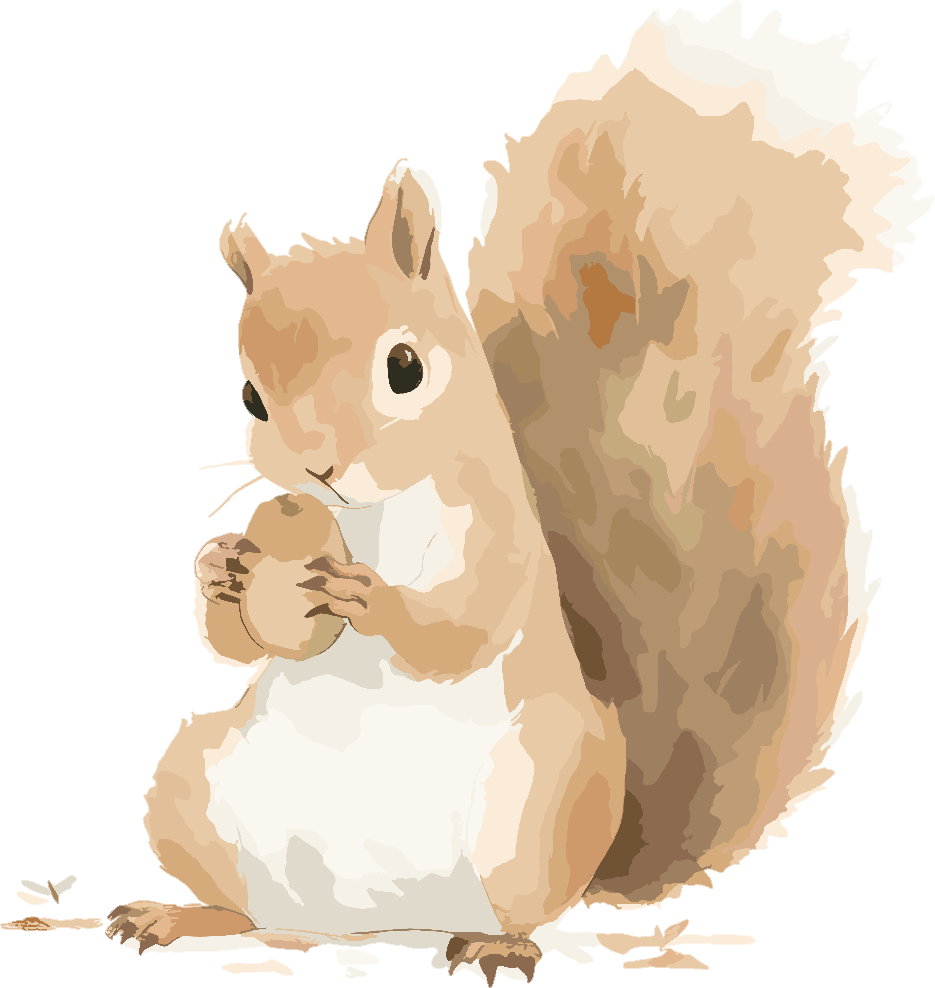Cute cartoon squirrel animal illustration