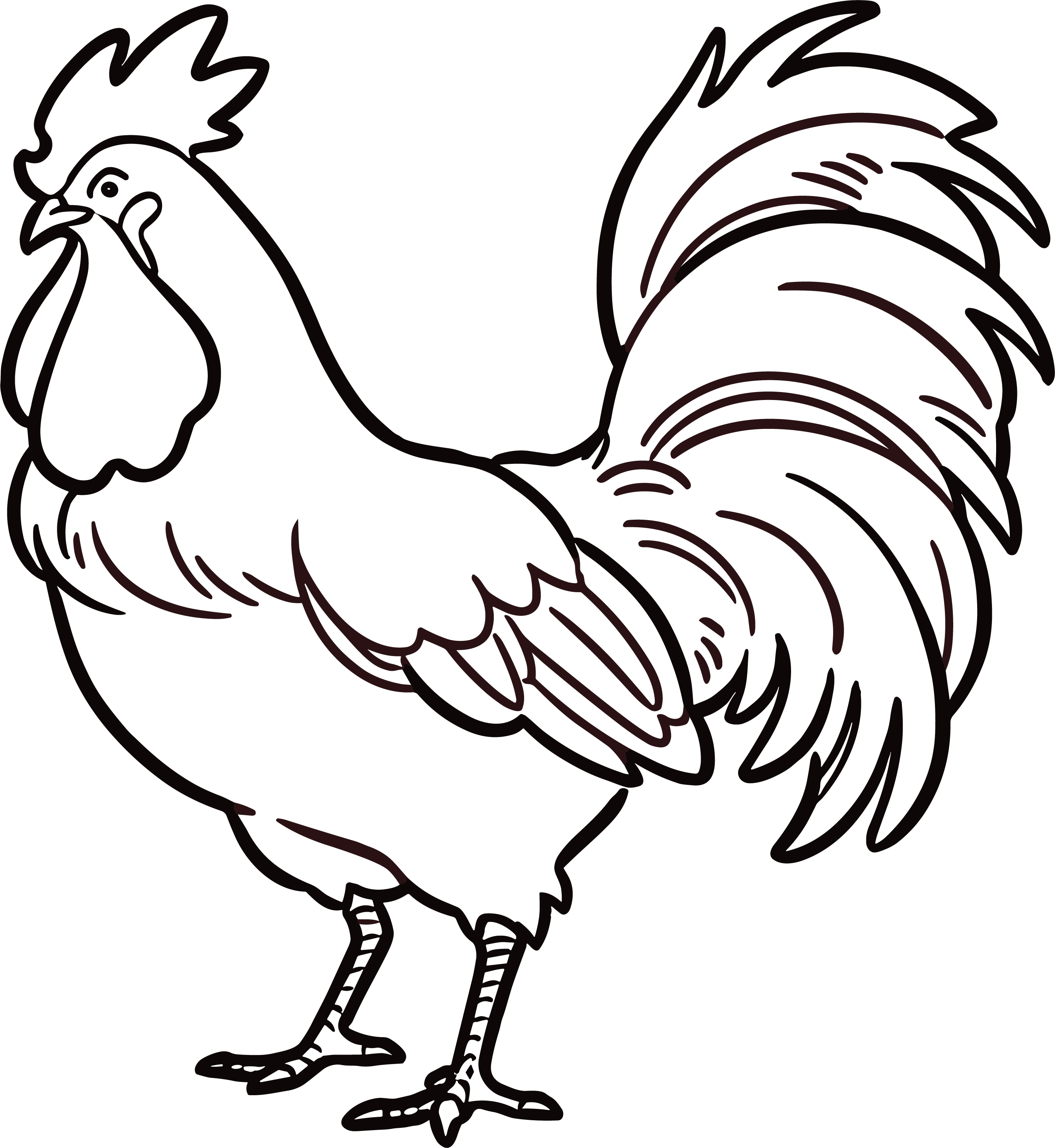 Chicken doodle