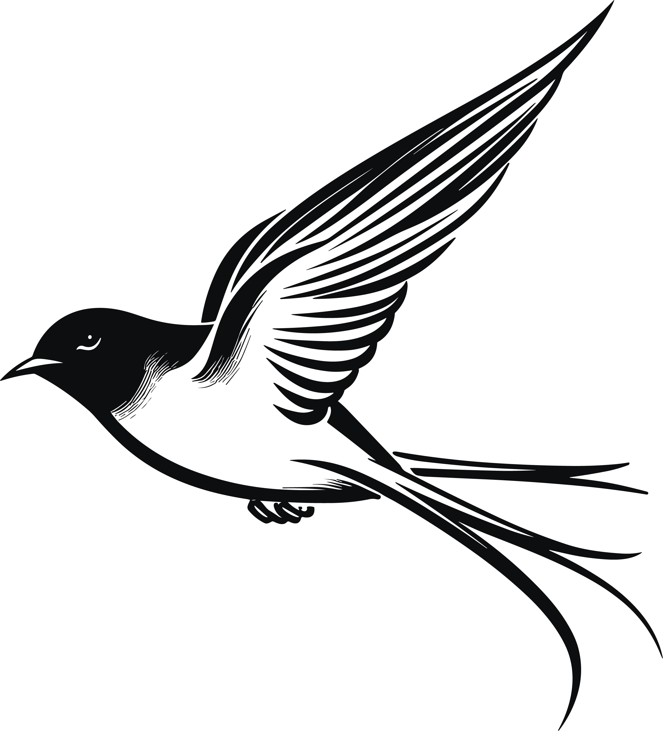 Little Swallow Simple Drawing