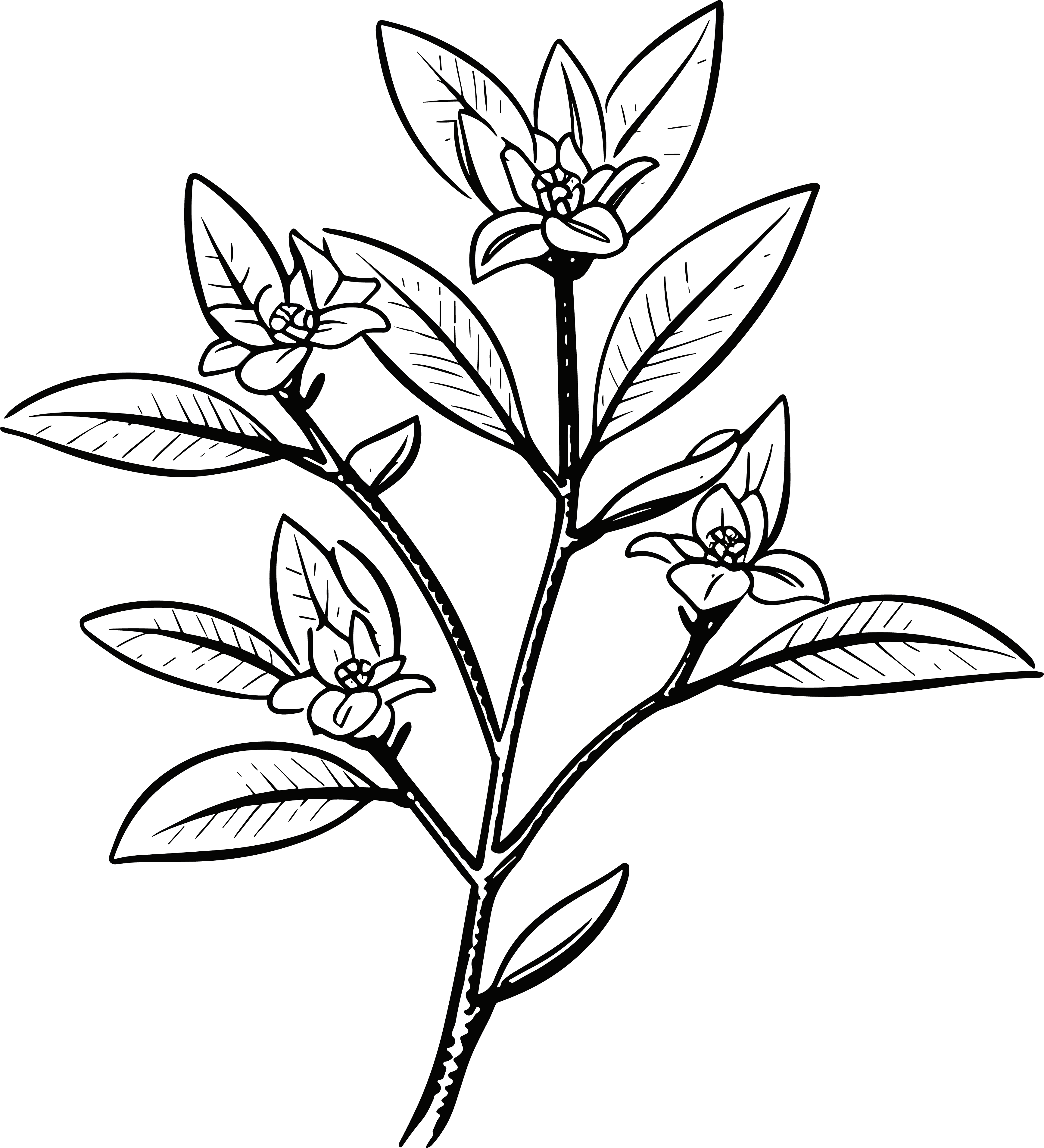 Mid-Autumn Festival picture collection simple drawings