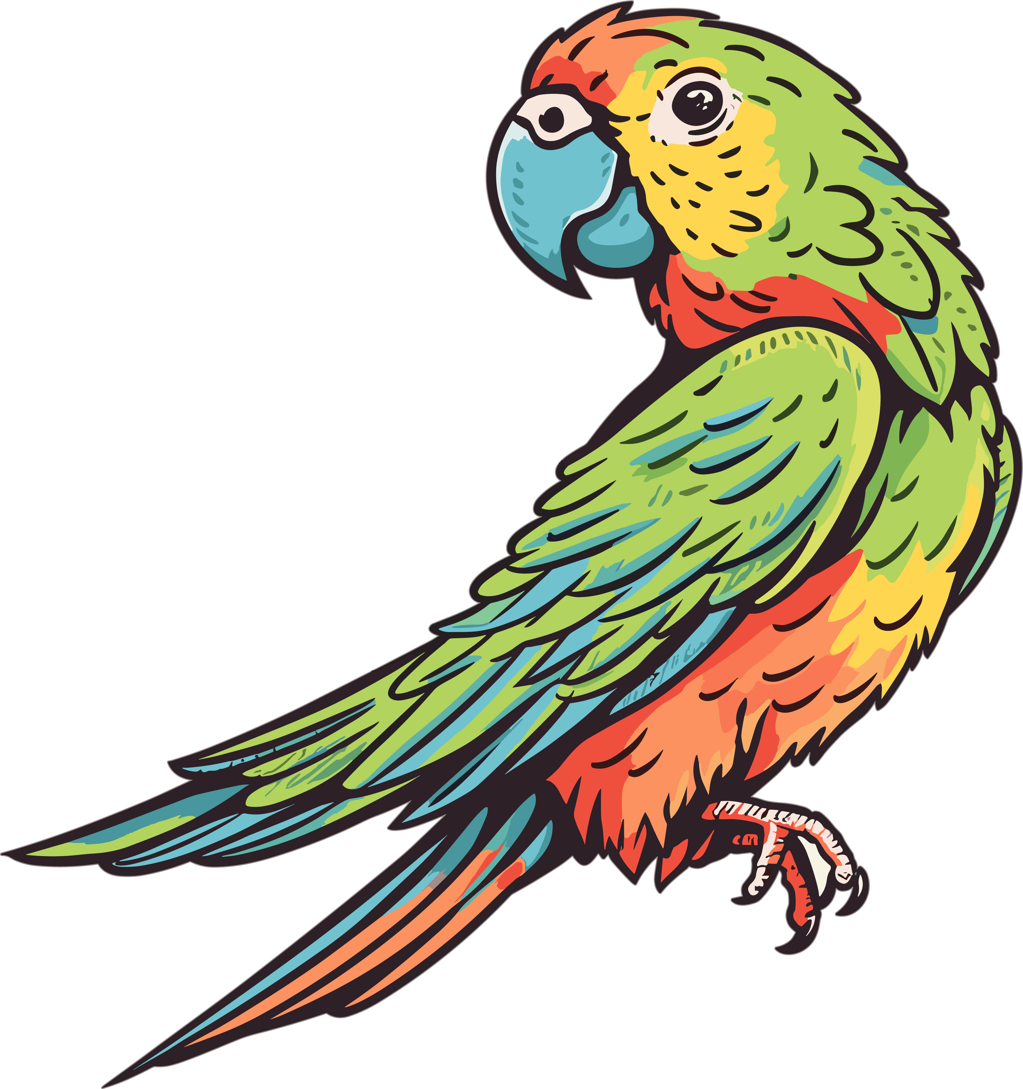 Parrot Commercial Illustration