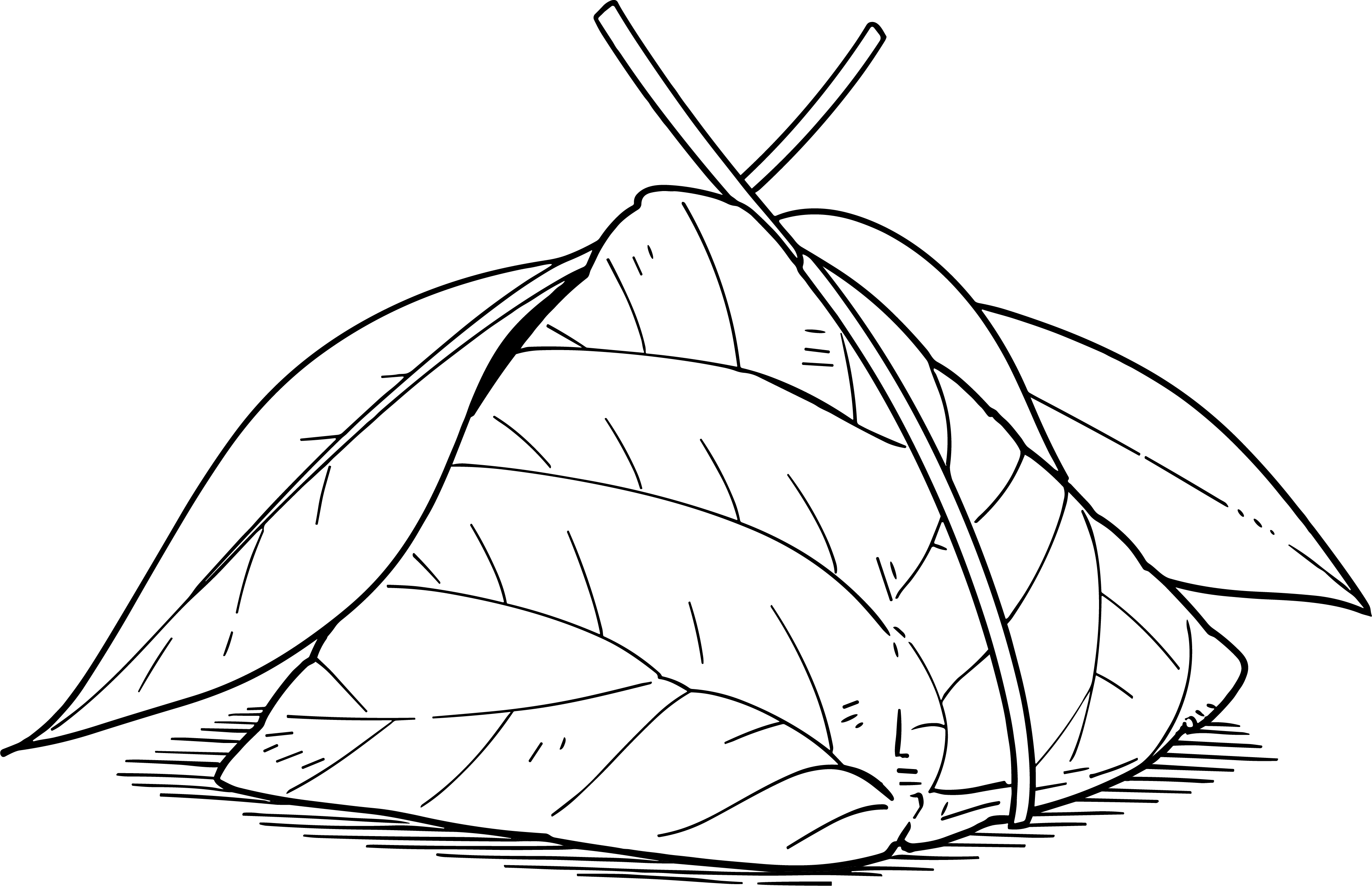 Simple line drawing of zongzi