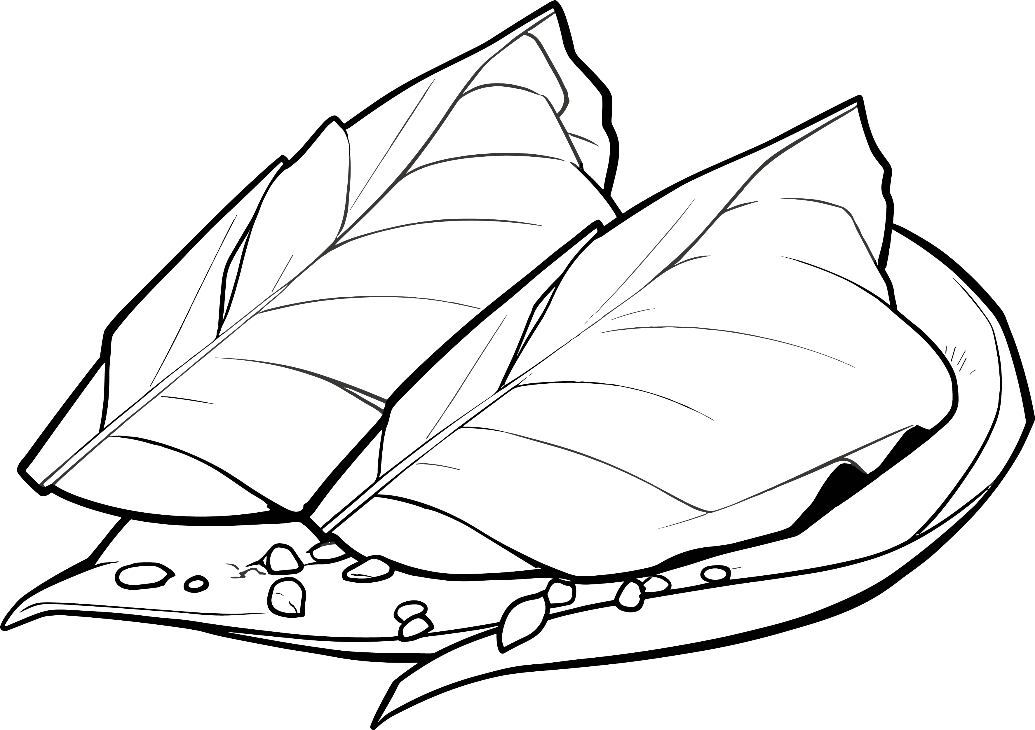 Cute simple drawing of zongzi