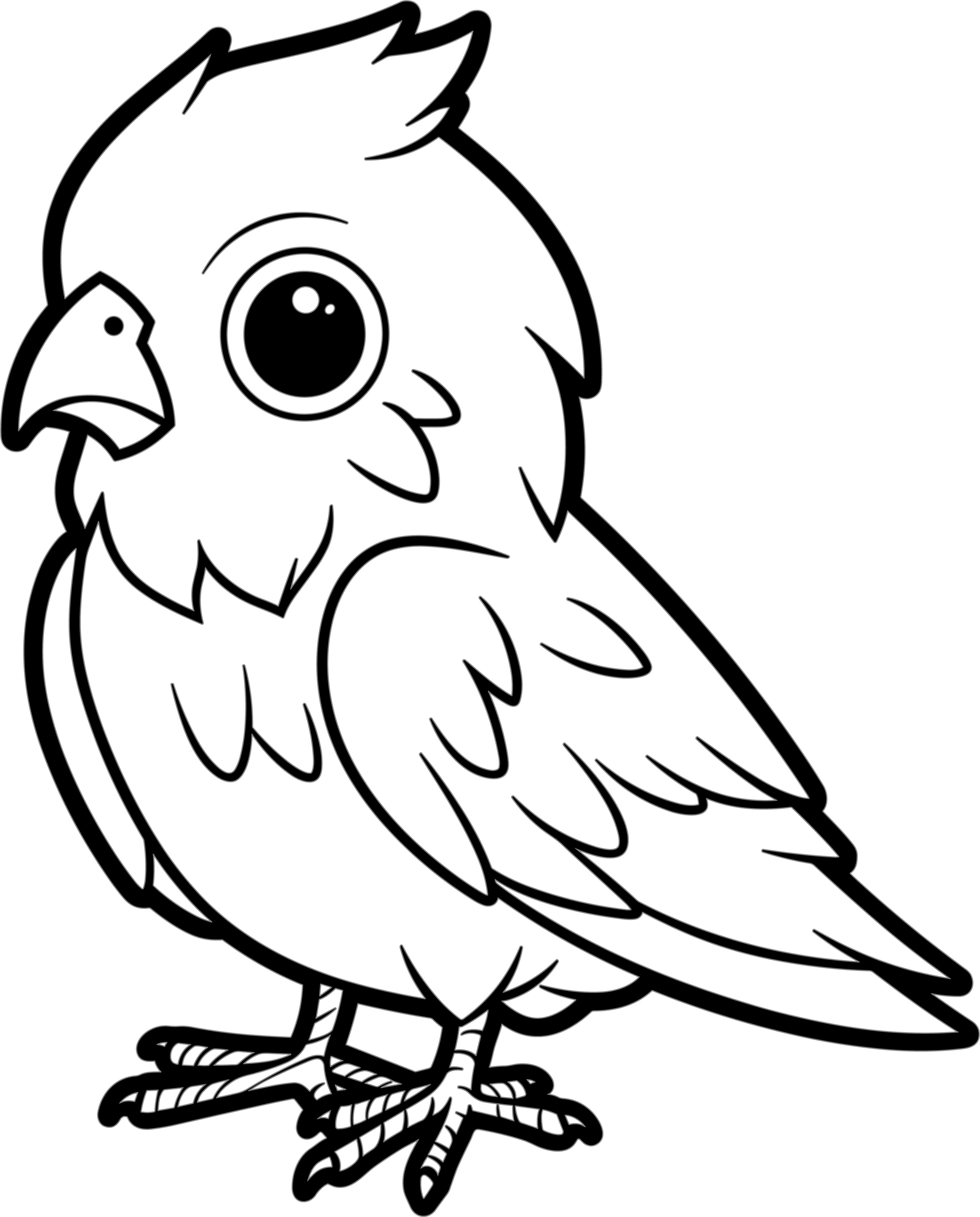 Cuckoo Bird Simple Drawing