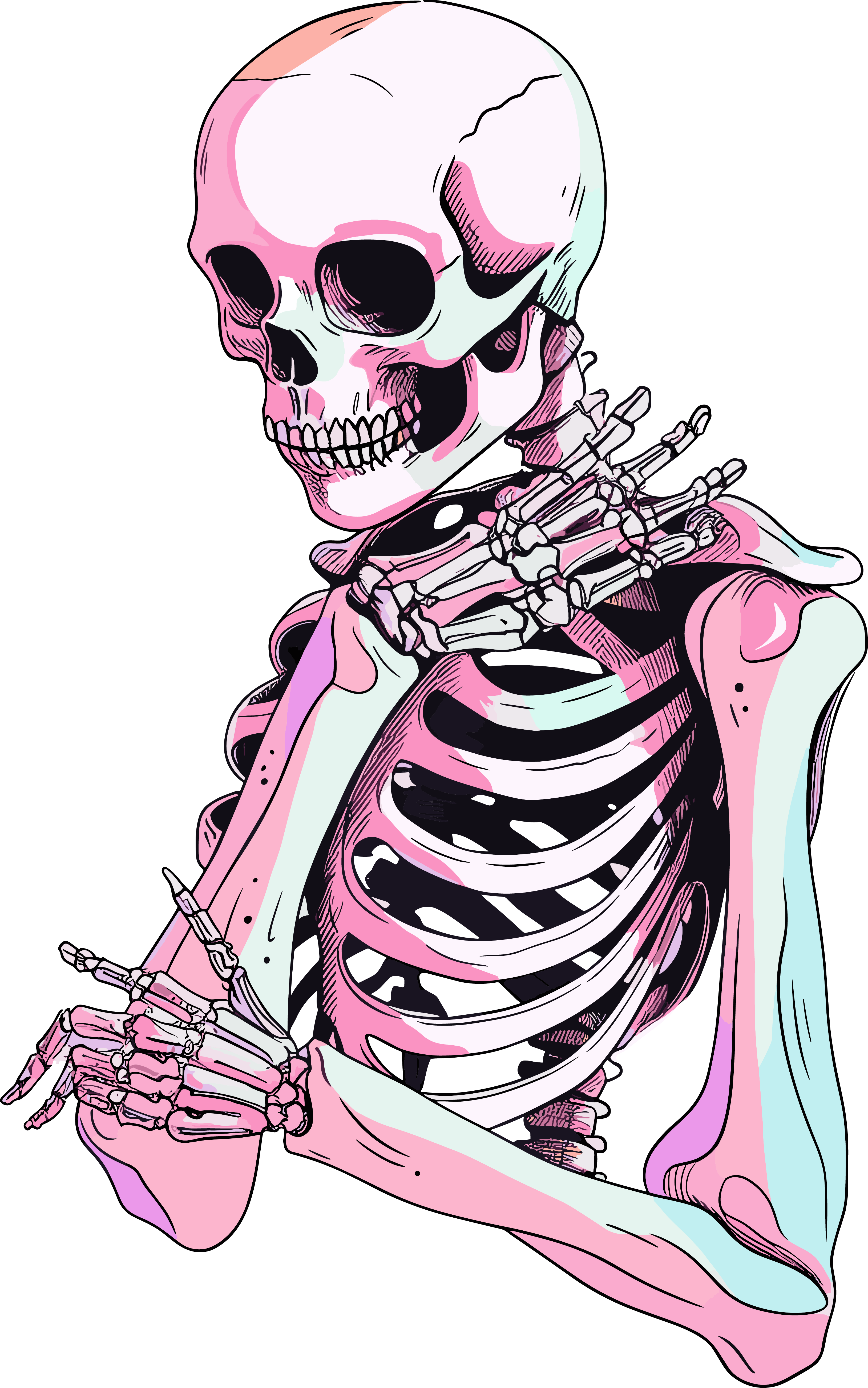 Medical illustration of human skeleton
